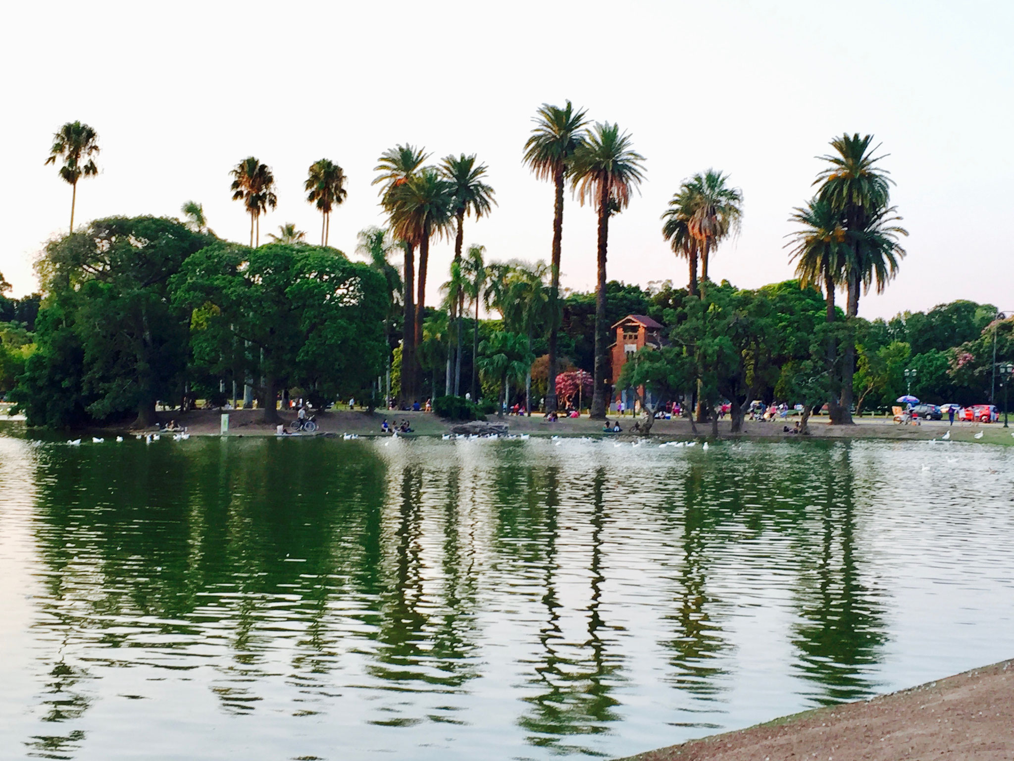 Park in Palermo