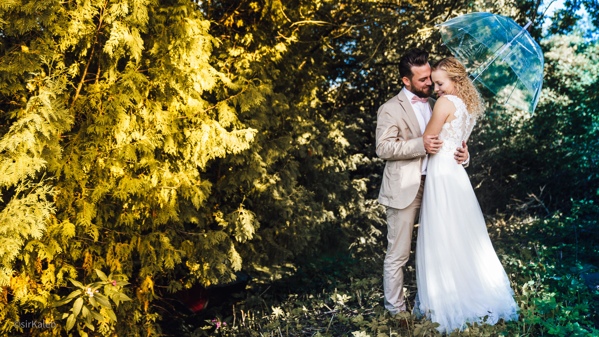 WEDDING - VIOLA & TOM