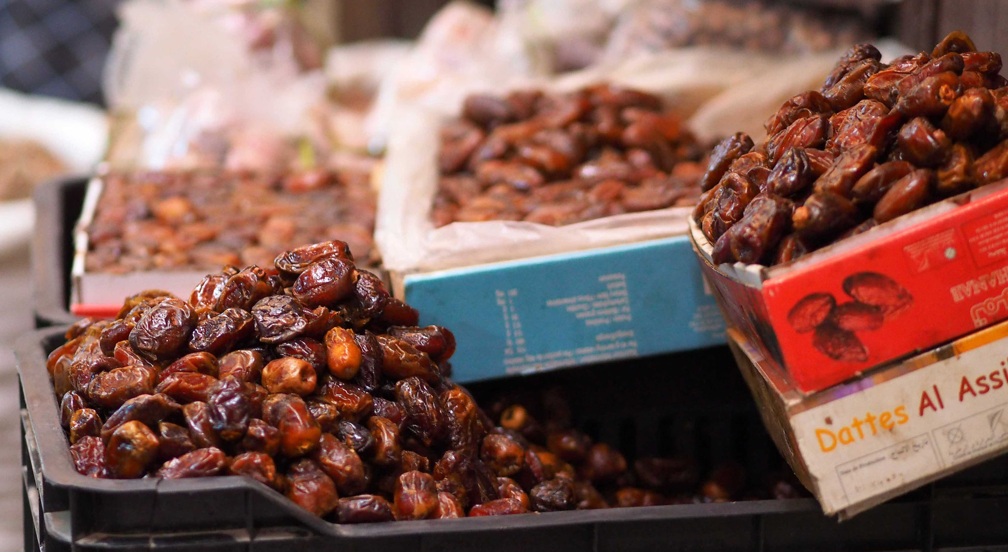 Dattes - Fès - Maroc