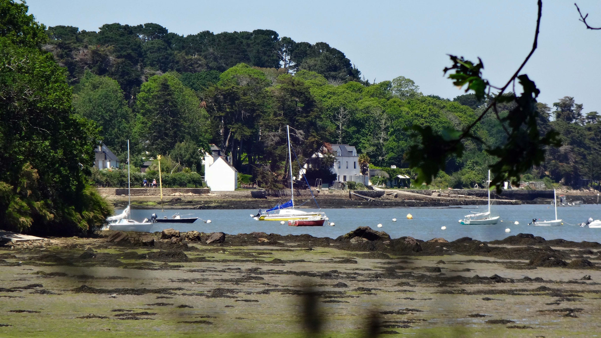 Île aux Moines - Morbihan