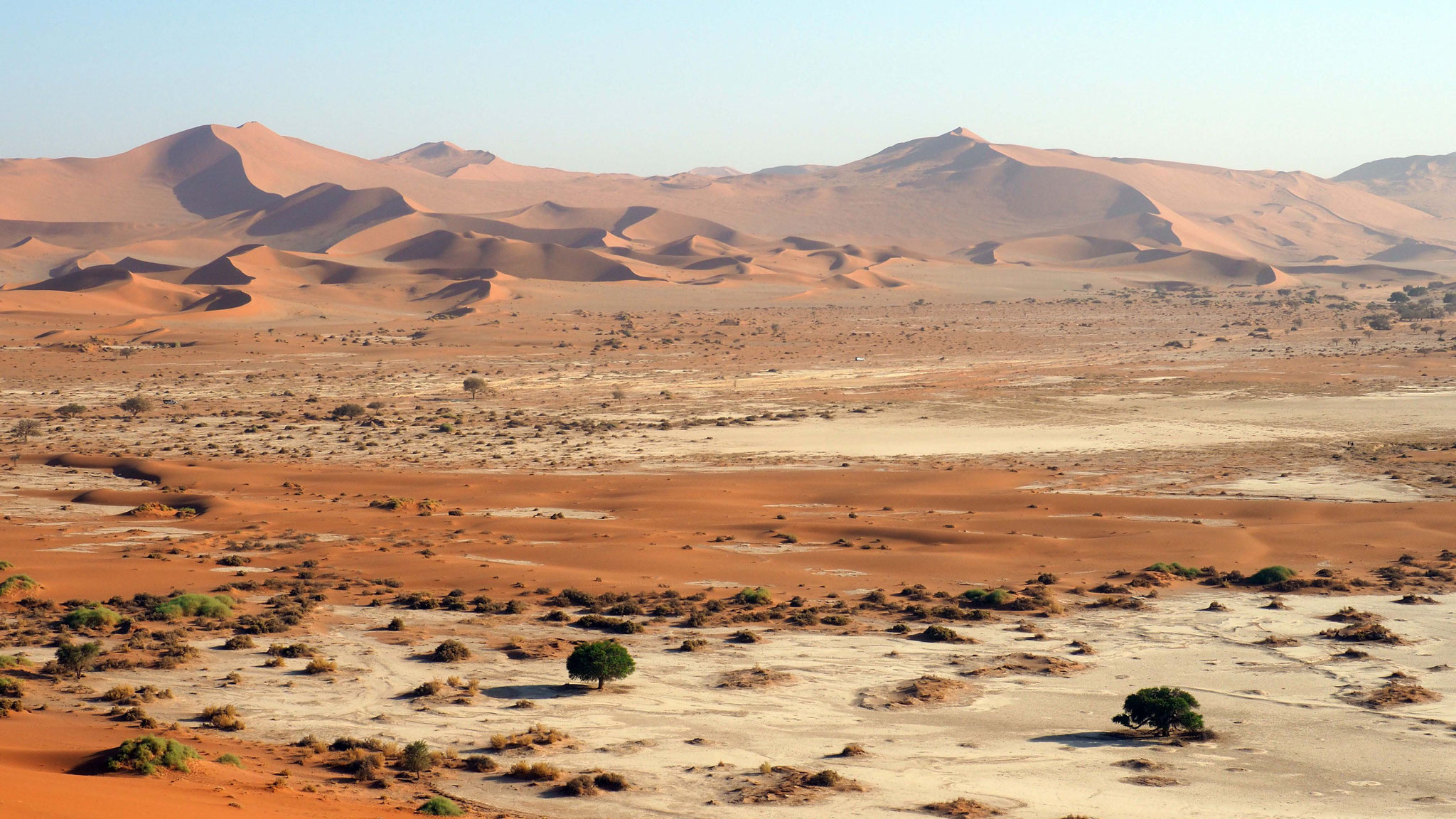 Désert du Namib