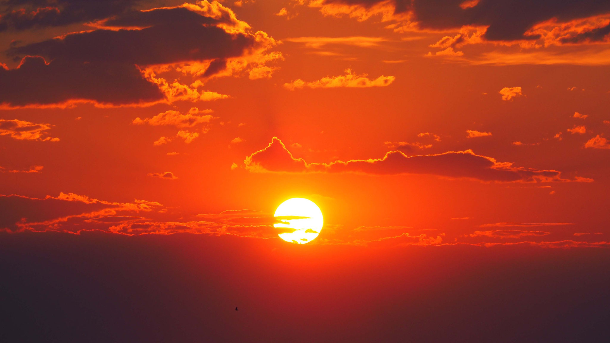 Coucher de soleil sur Namutoni - Namibie