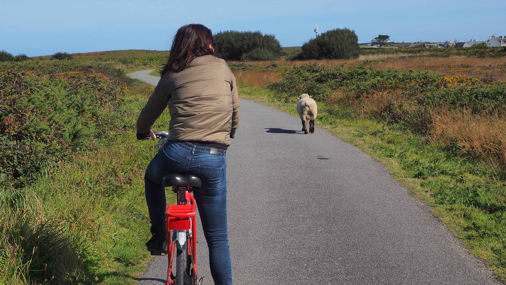 Découvrir Ouessant à vélo