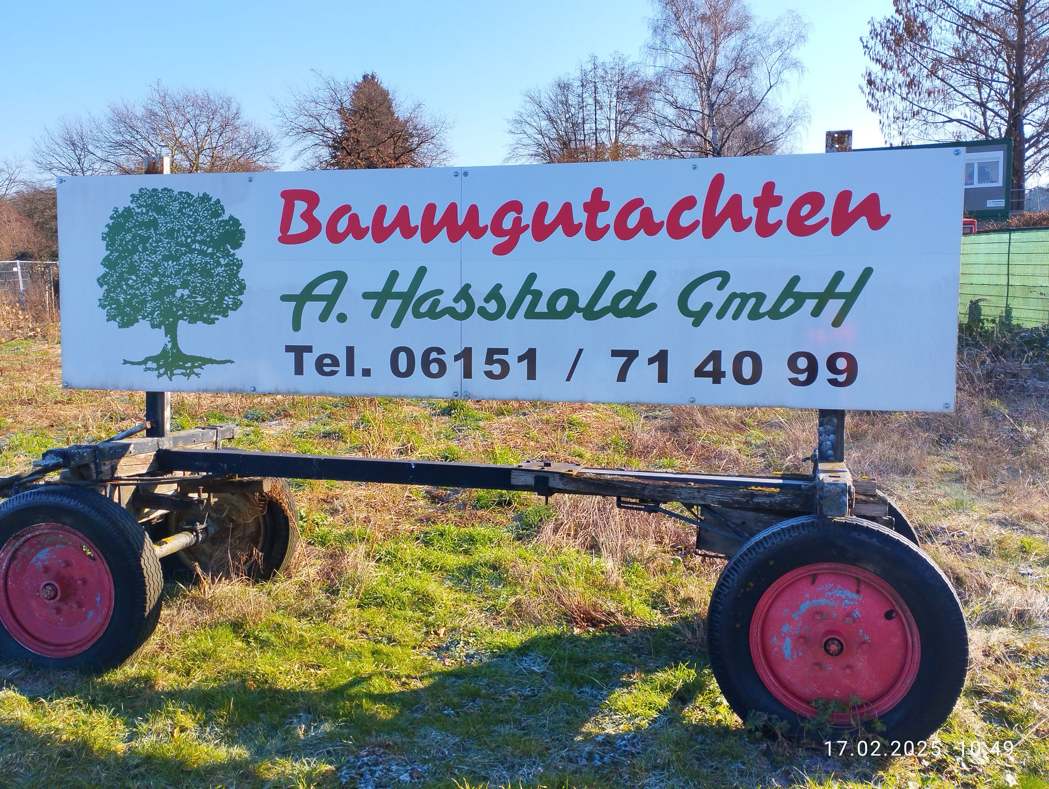 Baumgutachten A. Hasshold GmbH Ihr freier Sachverständigendienstleister