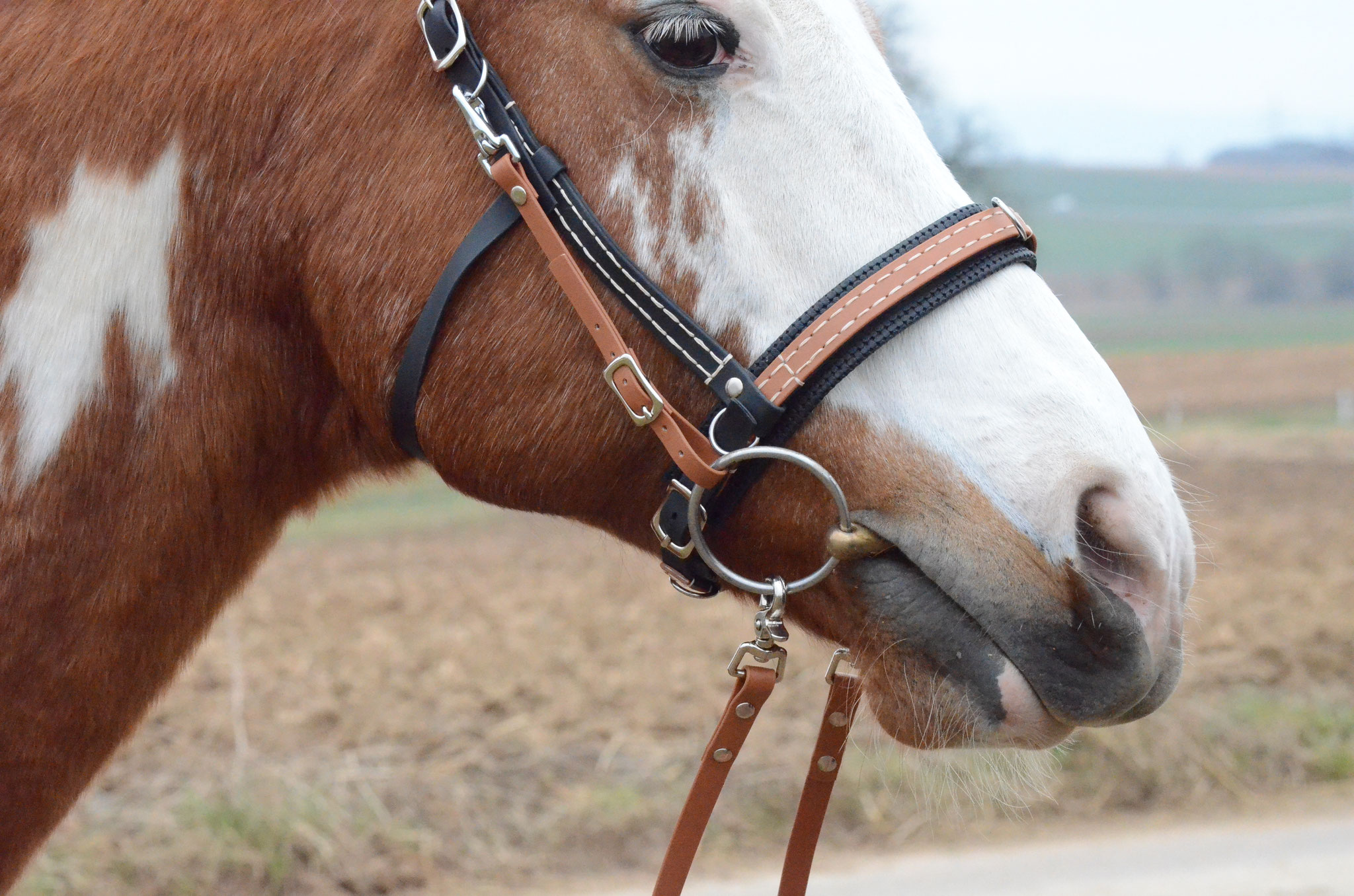 Hobby Horse Trense Selber Machen