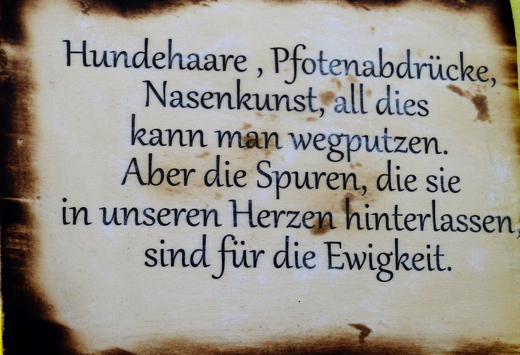 Der Spruch des Tages