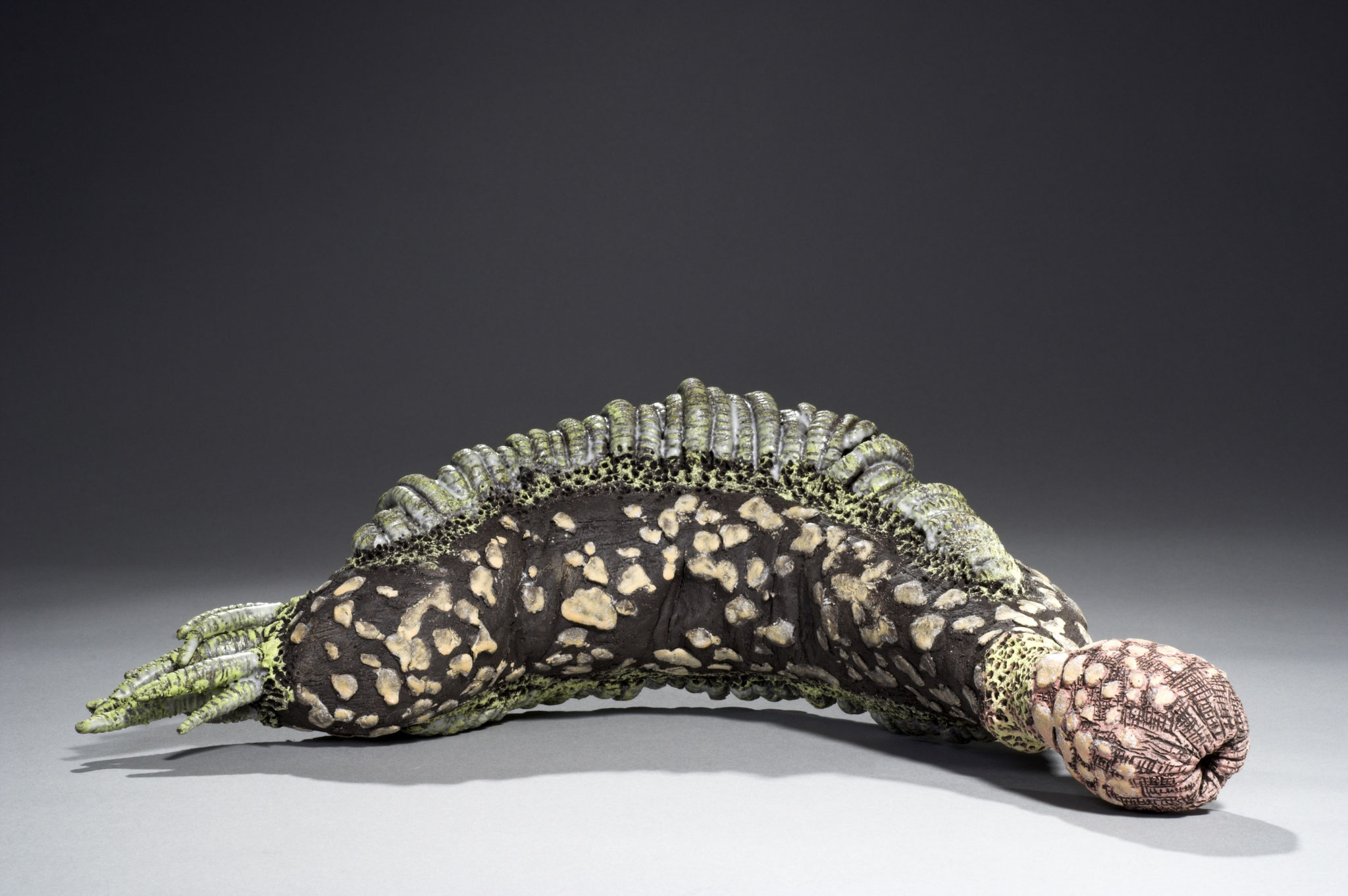 Vermiculus