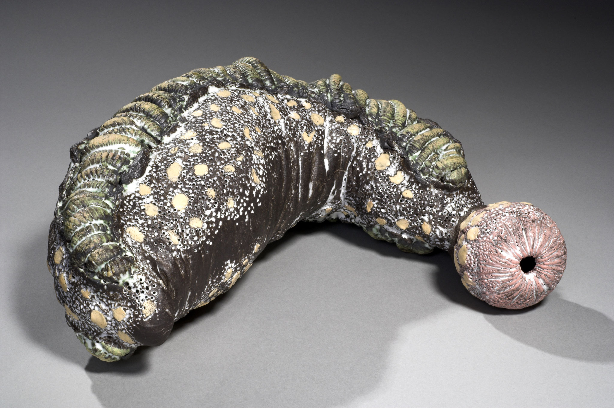 Roter Vermiculus 