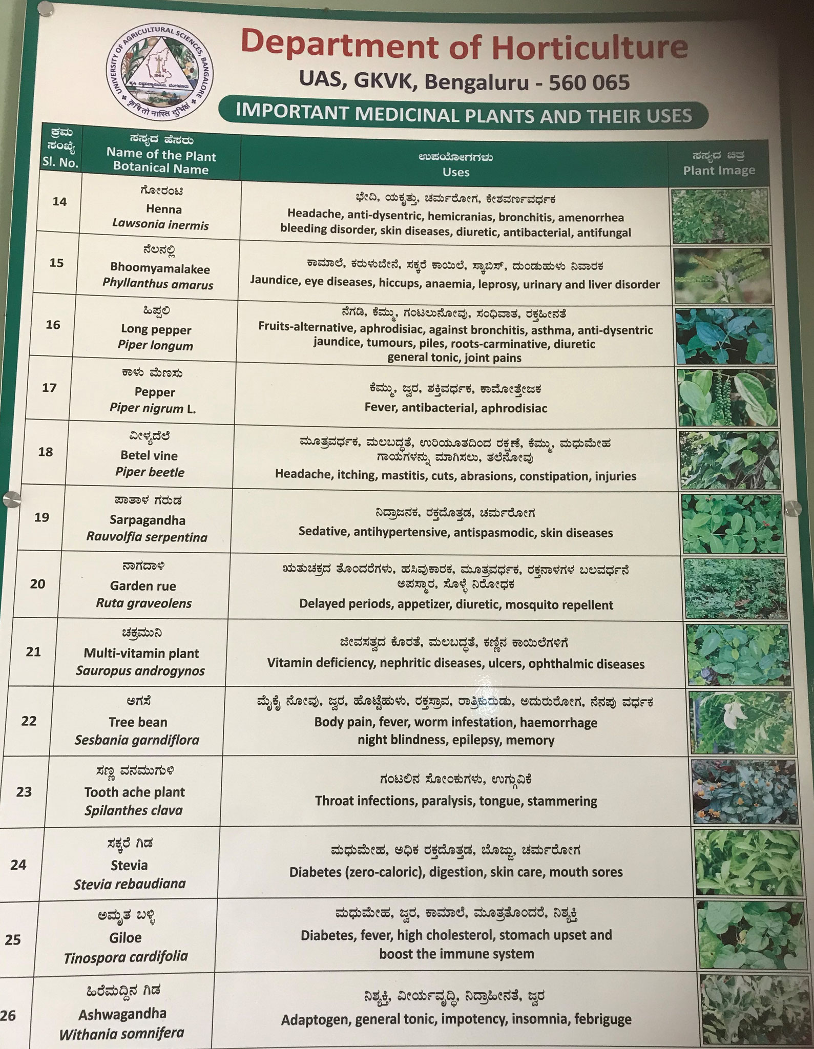 Medicinal plants and their uses