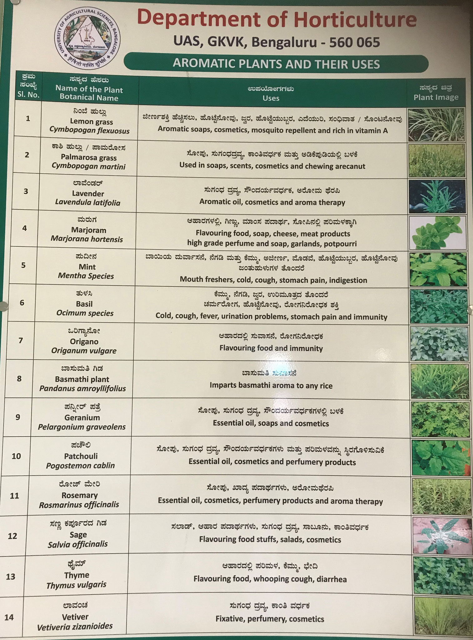 Aromatic plants and their uses