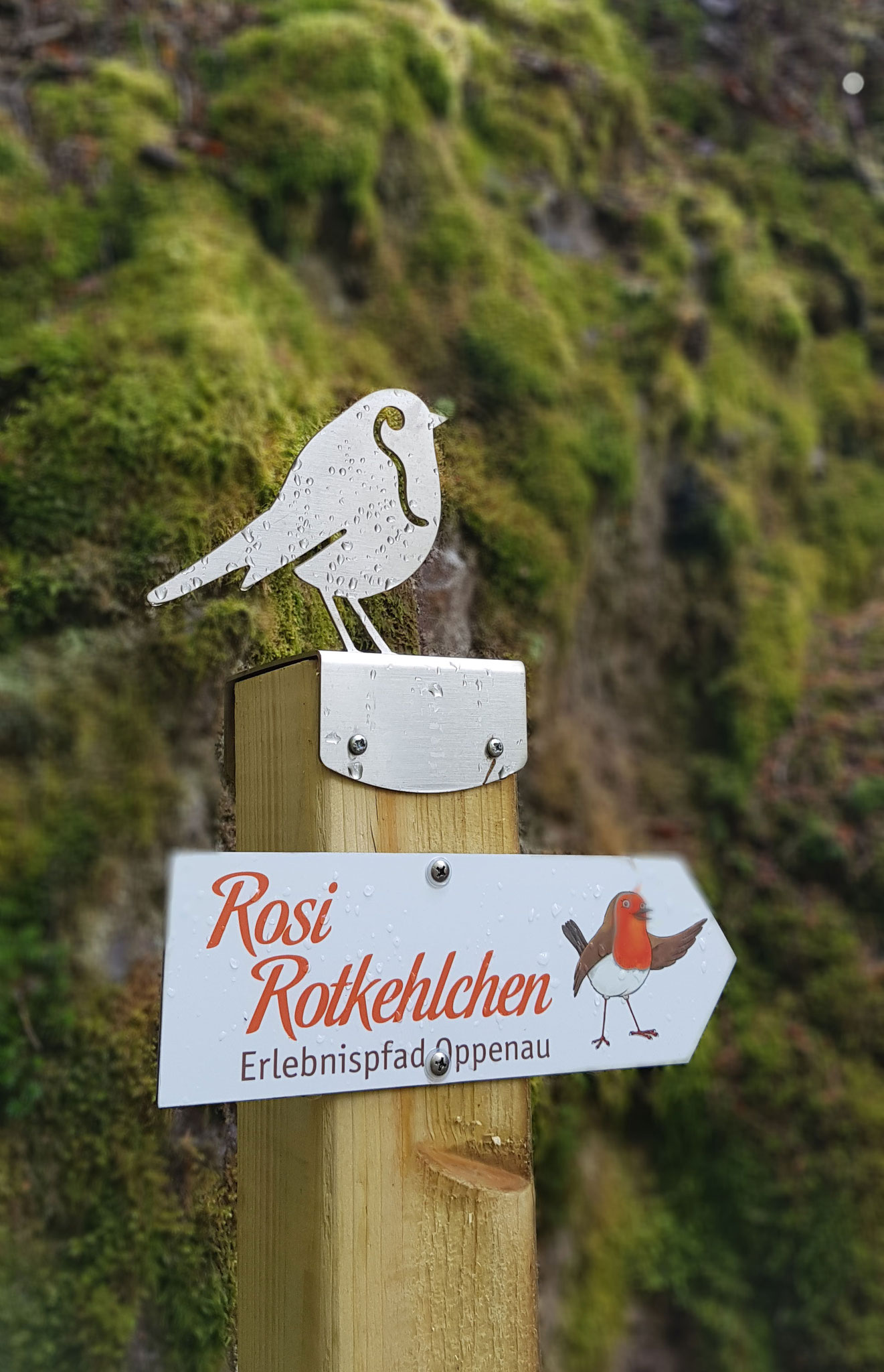 Illustrationen für den Erlebnispfad Rosi Rotkehlchen in Oppenau.