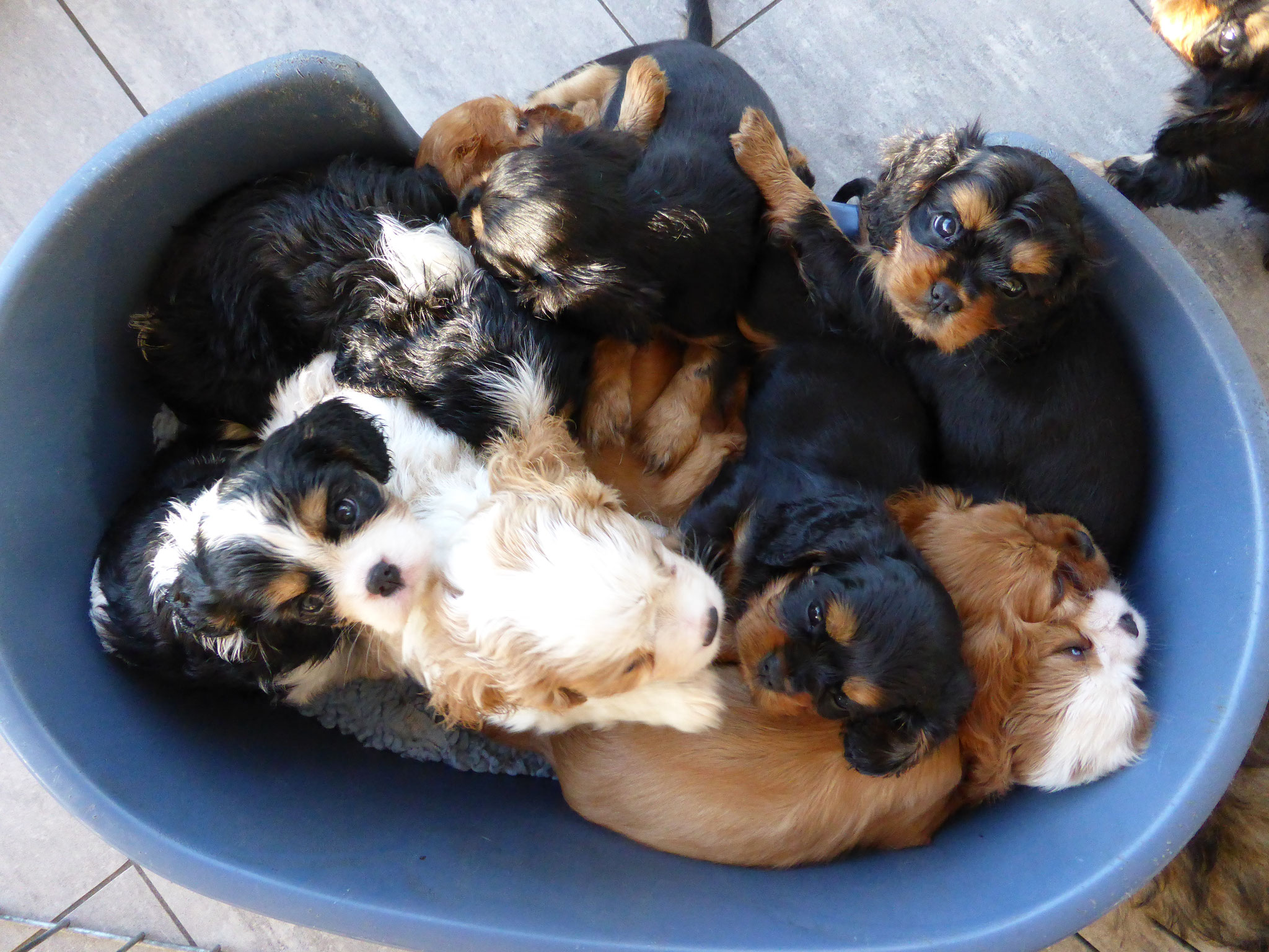 Ein Kistchen Liebe!