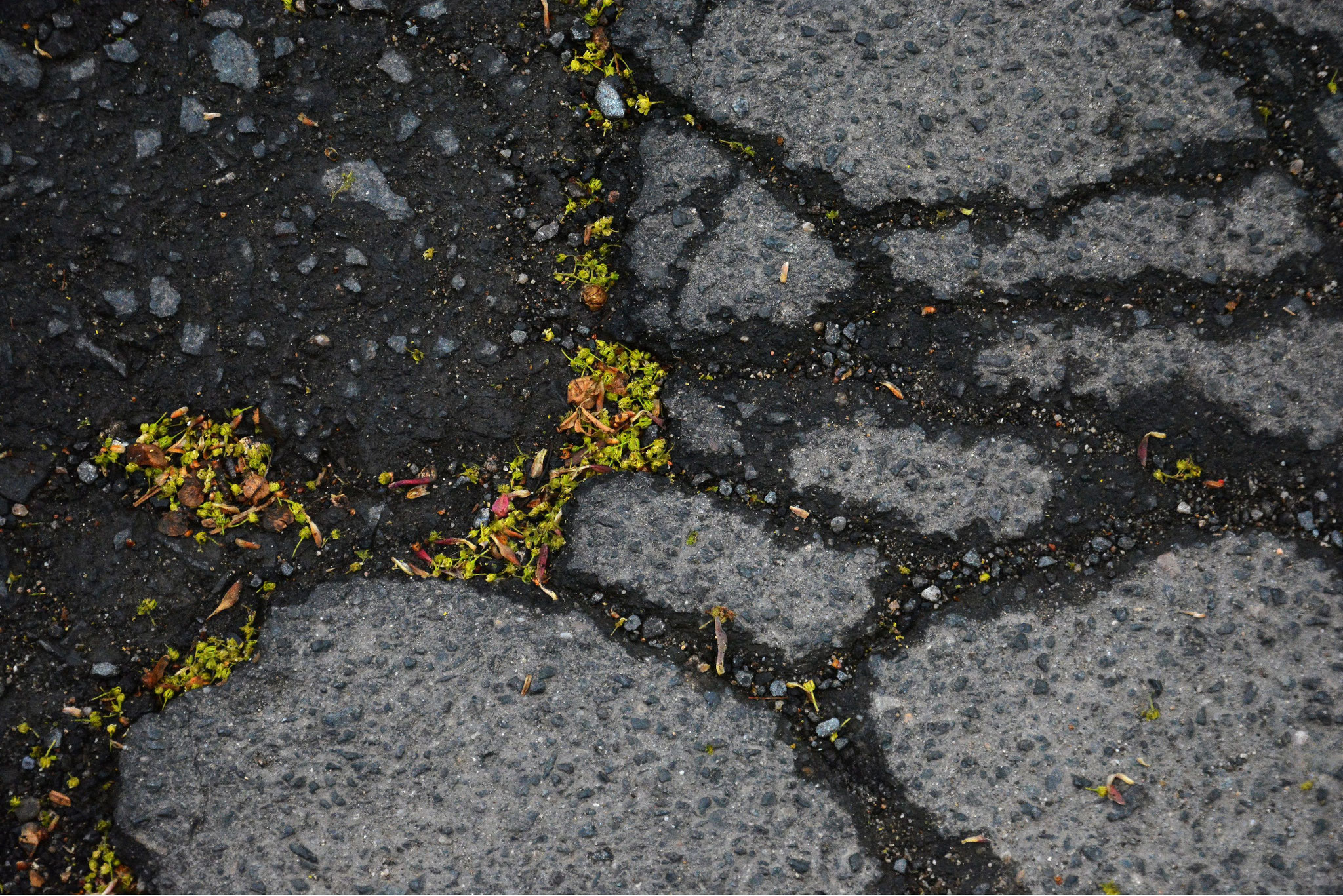Asphalt