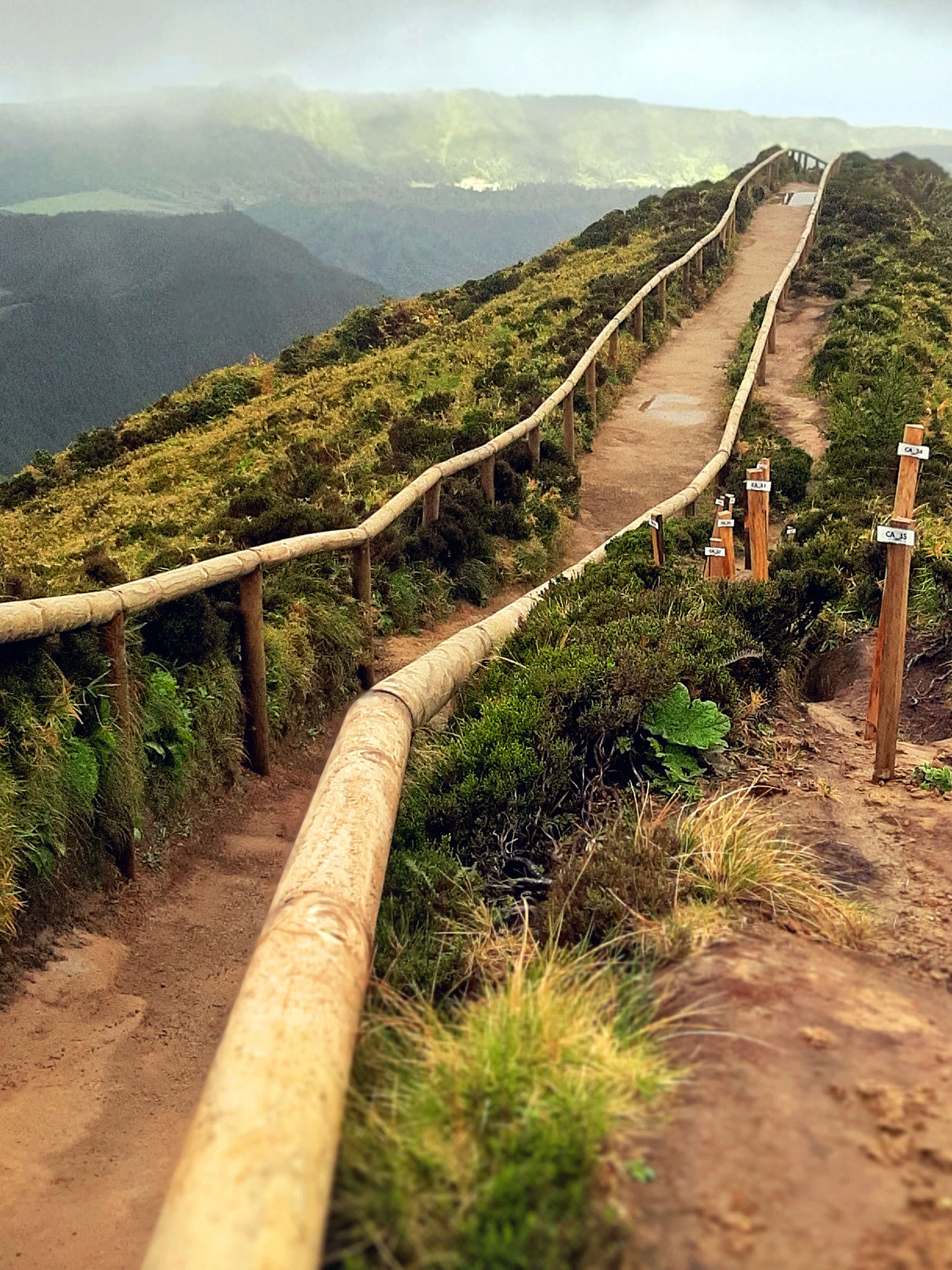Wanderweg auf den Azoren, Mai 2024
