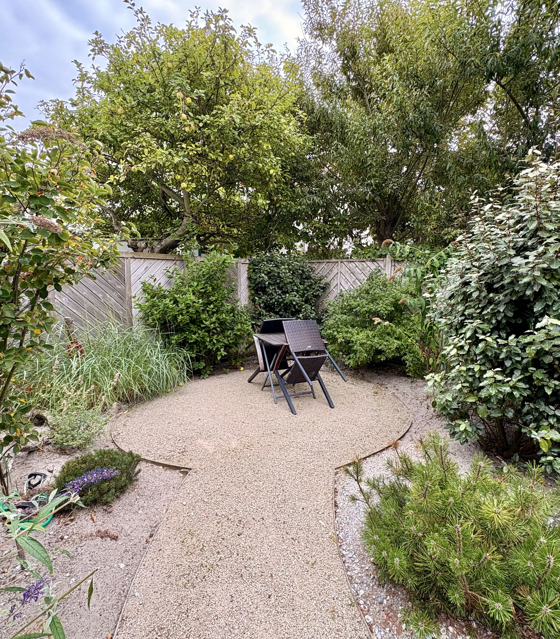 der Garten für einen Tag am Strand ohne Meer