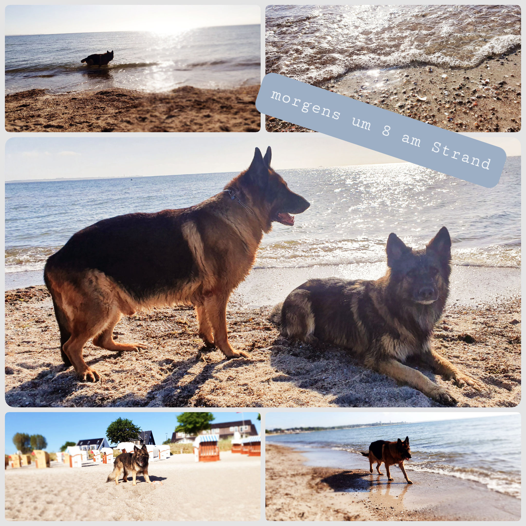 Hundestrand Haffkrug