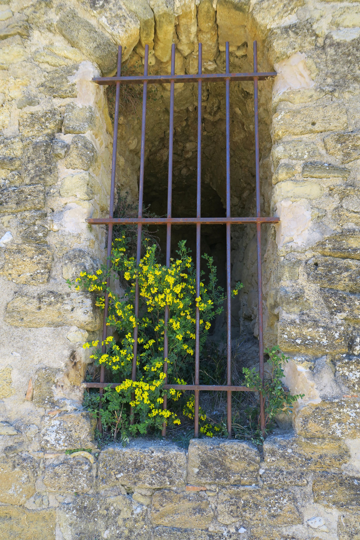 Bild: Burgruine Cadenet, in der Provence