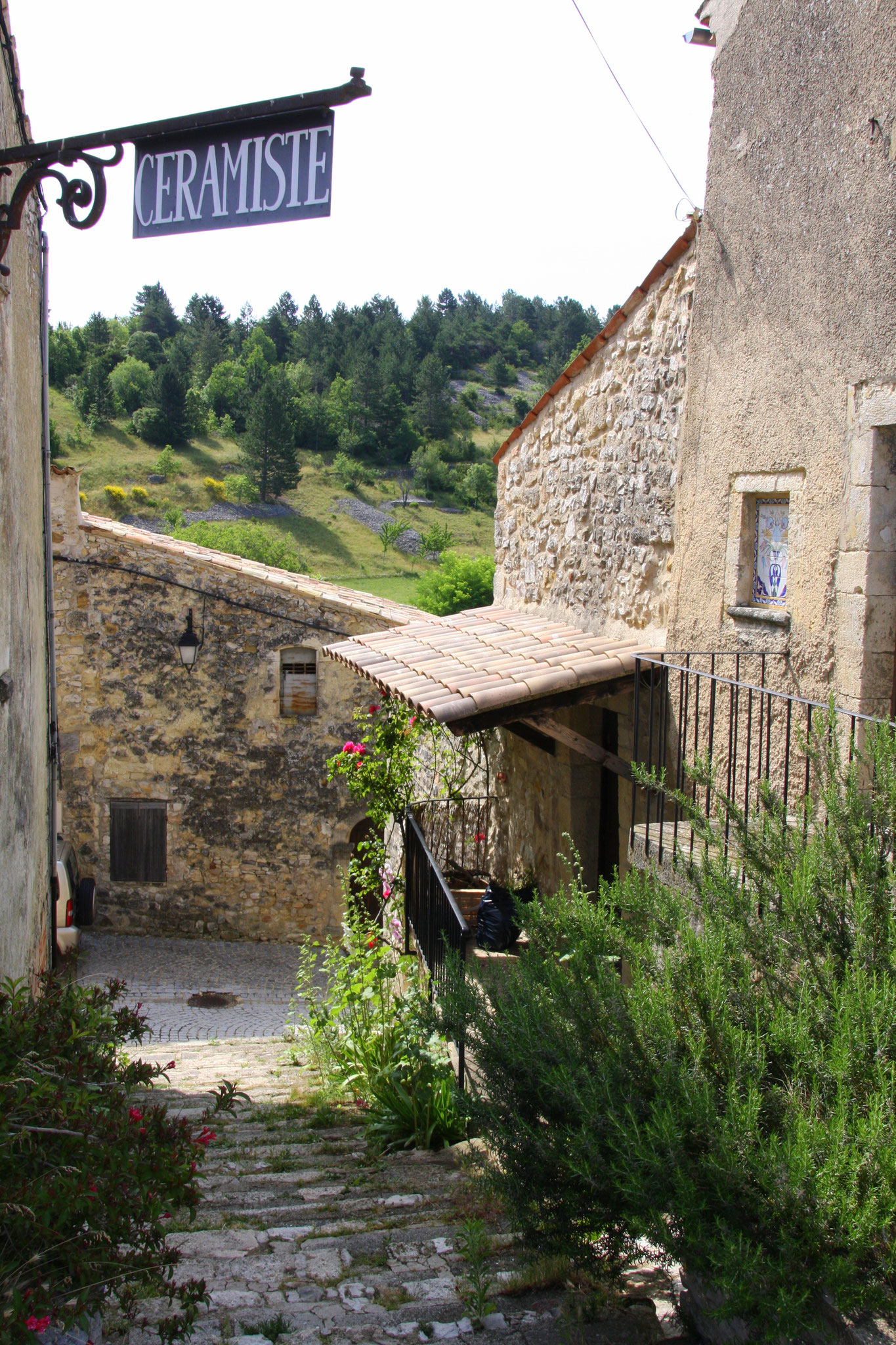 Bild: Aurel am Mont Ventoux