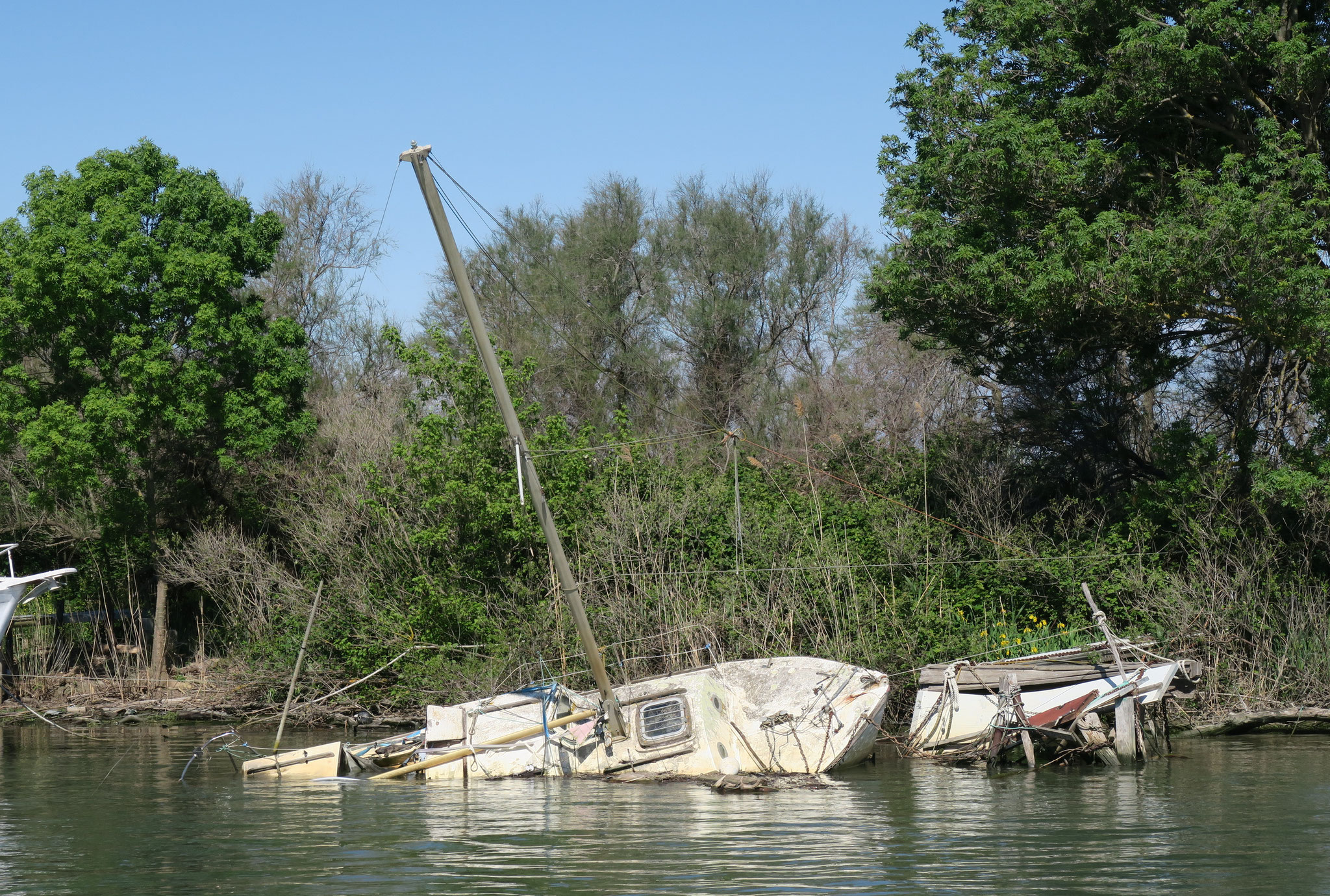 Bild: Fahrt mit der TIKI III bei Saintes-Maries-de-la-Mer, Camargue 