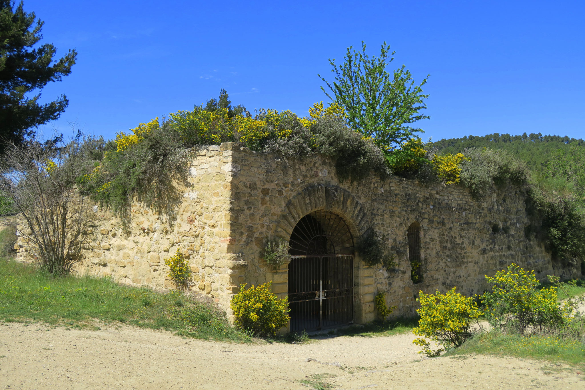 Bild: Burgruine Cadenet, in der Provence