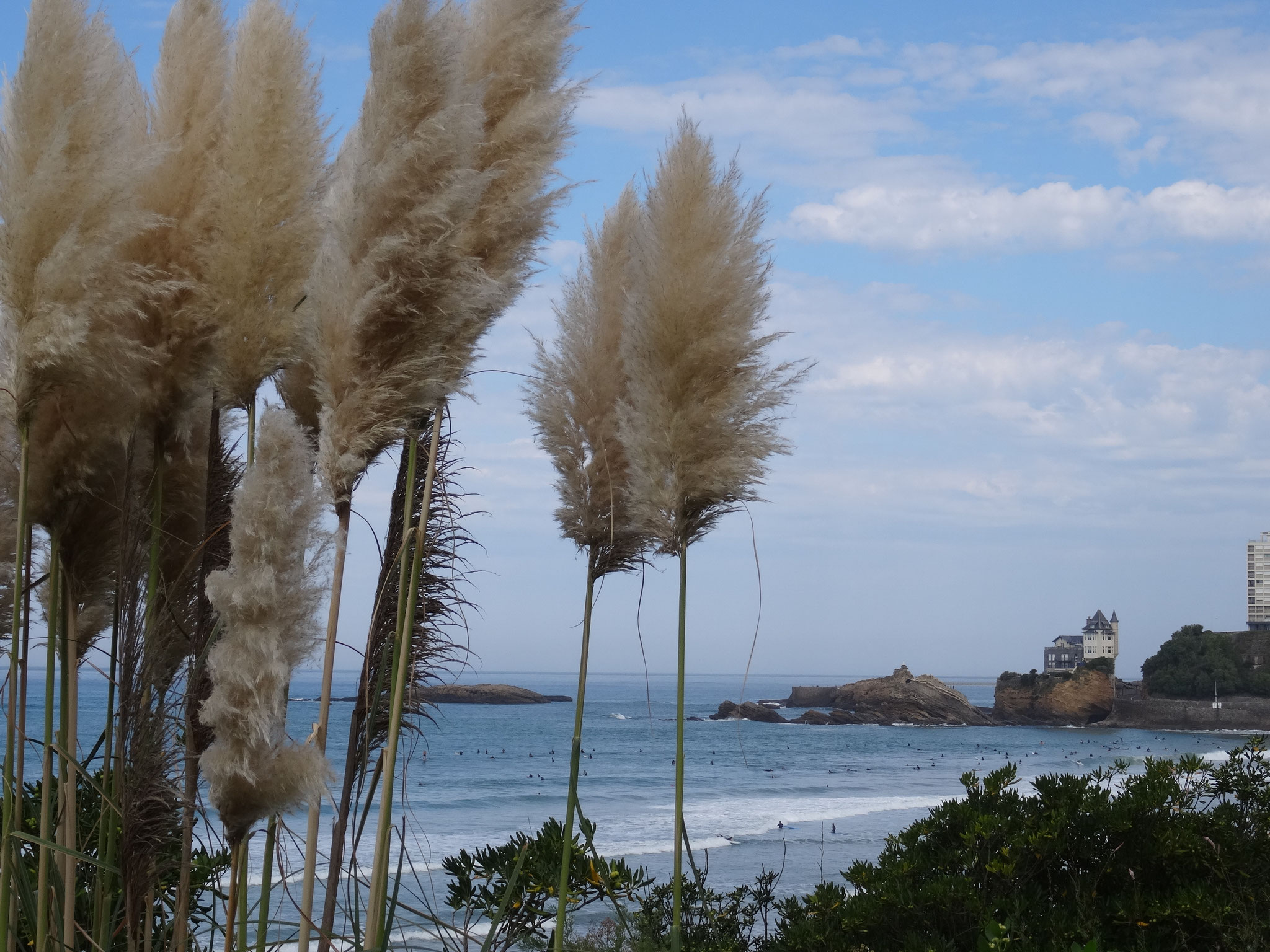 Bild: am Strand von Biarritz 