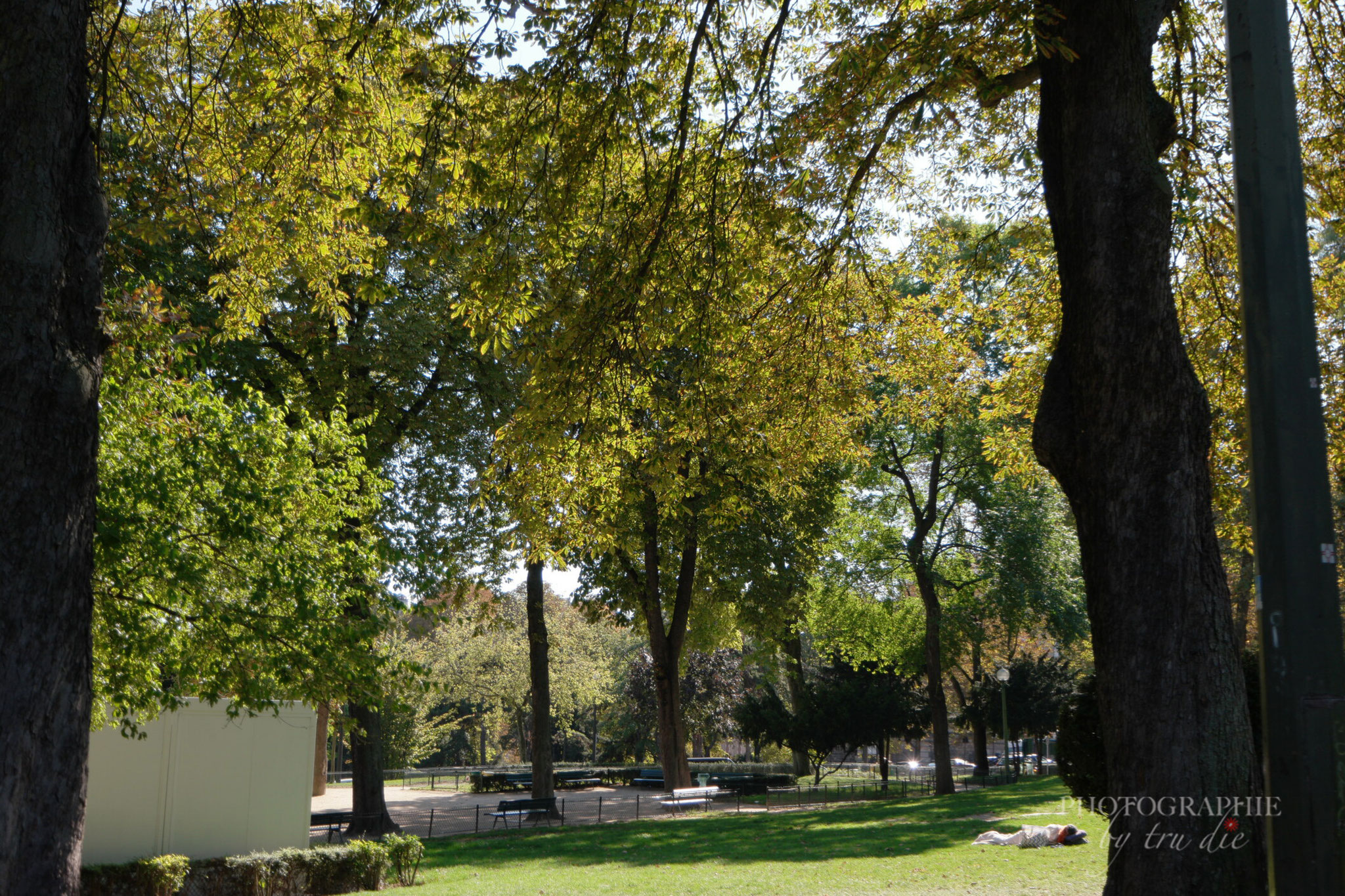 Bild: im Jardin de Trocadéro 