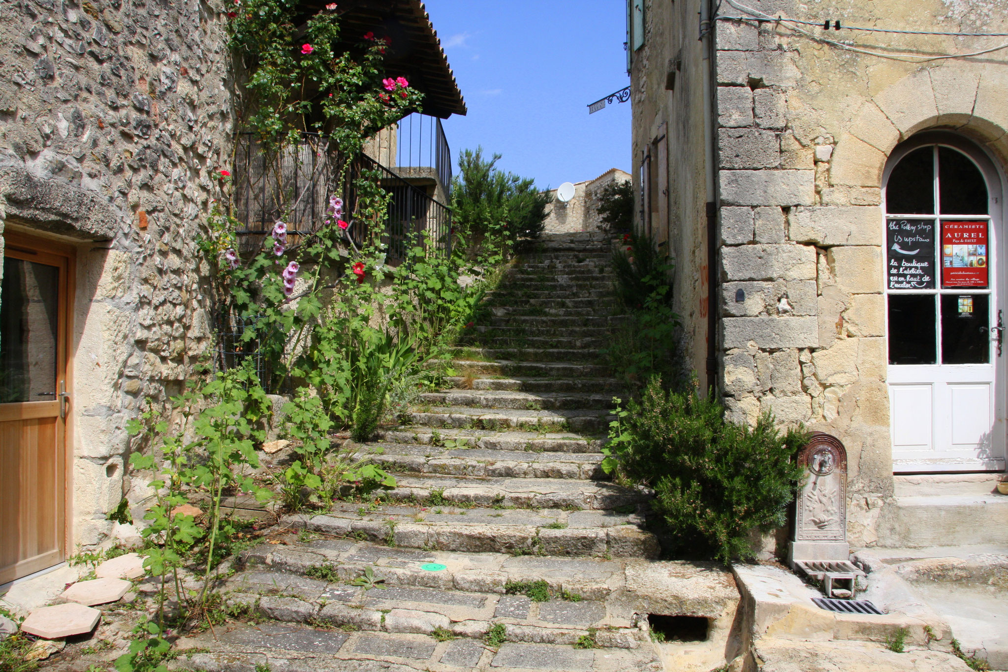 Bild: Aurel am Mont Ventoux