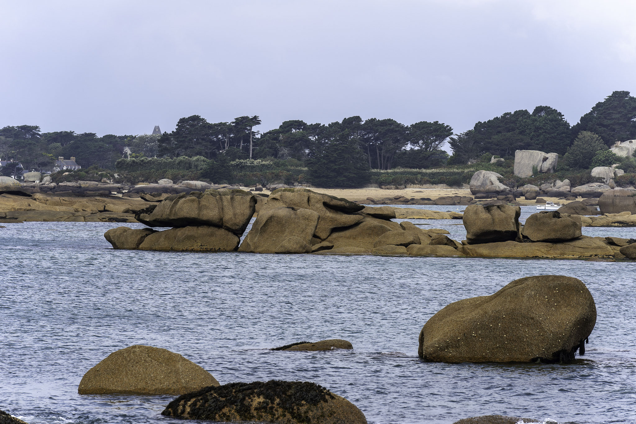 Bild: Sentier des Douaniers in Ploumanac´h