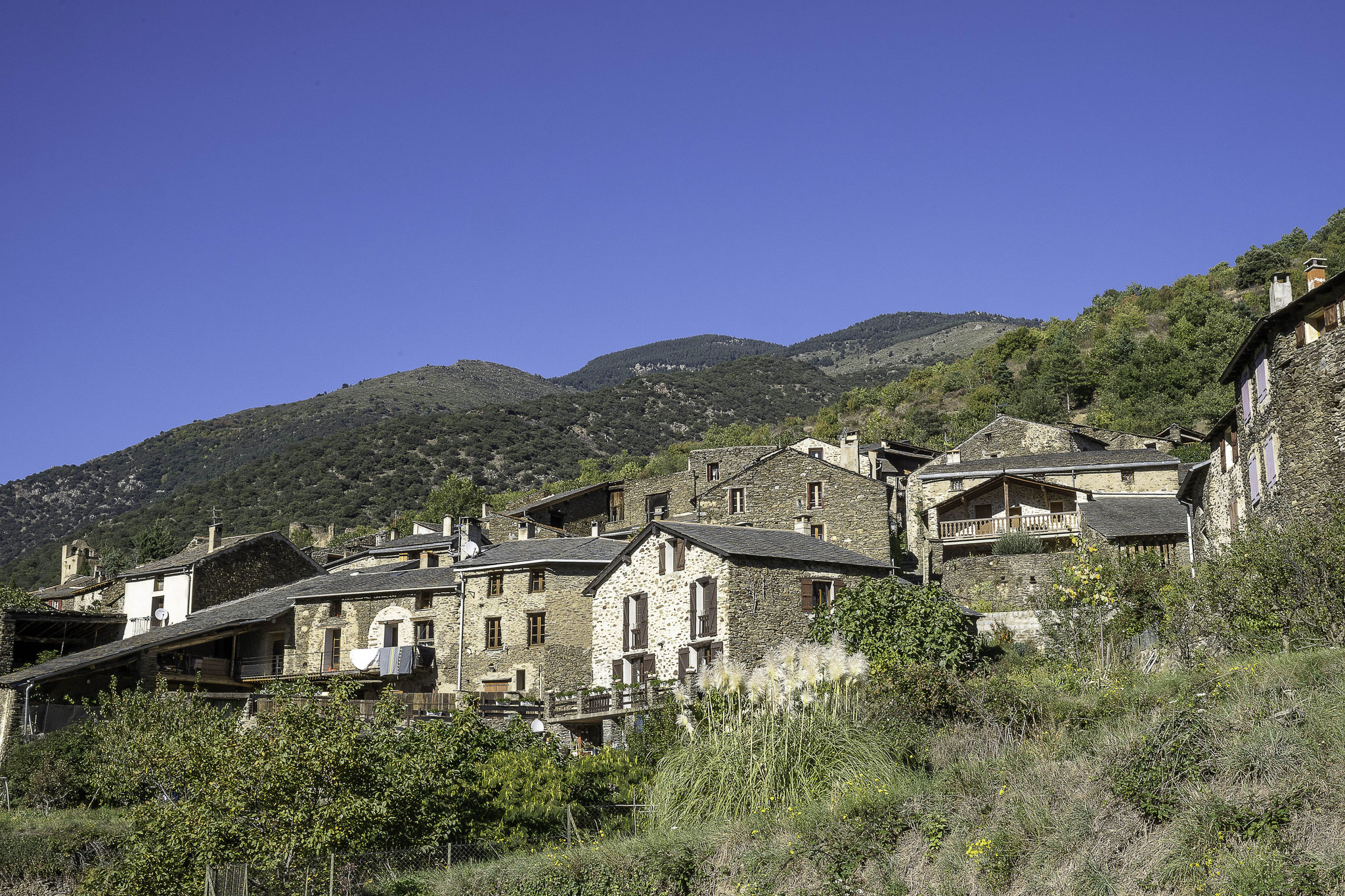 Bild: Évol im Département Pyrénées-Orientales 