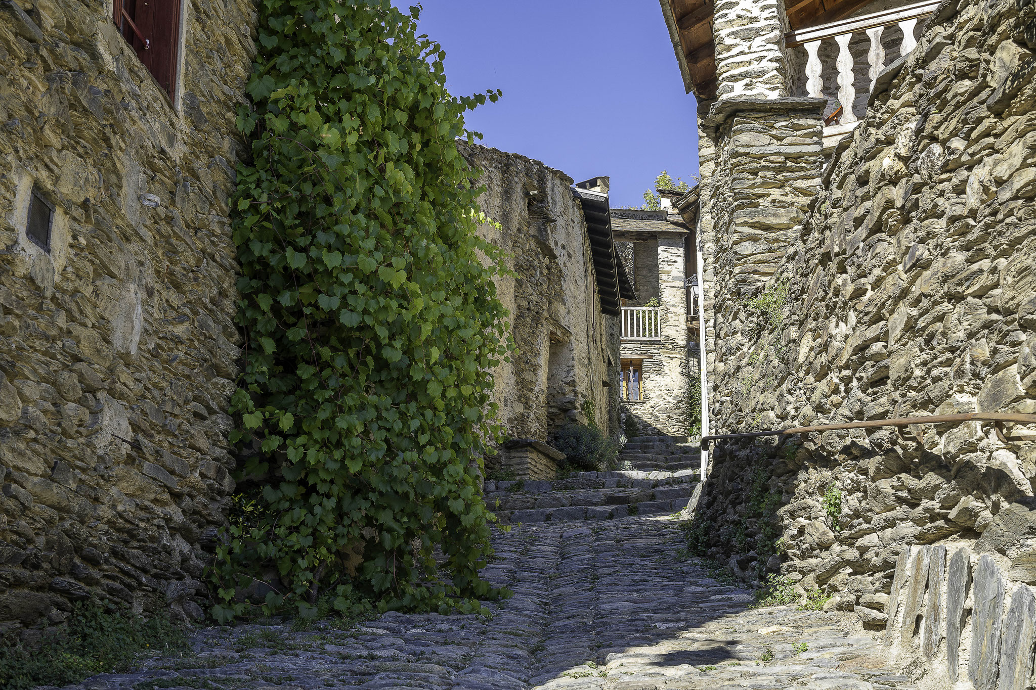 Bild: Évol im Département Pyrénées-Orientales 