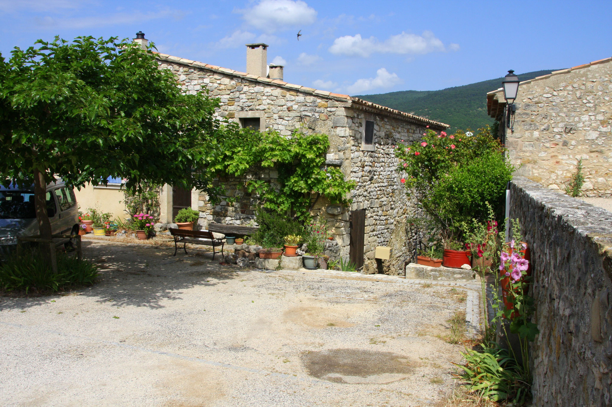 Bild: Aurel am Mont Ventoux