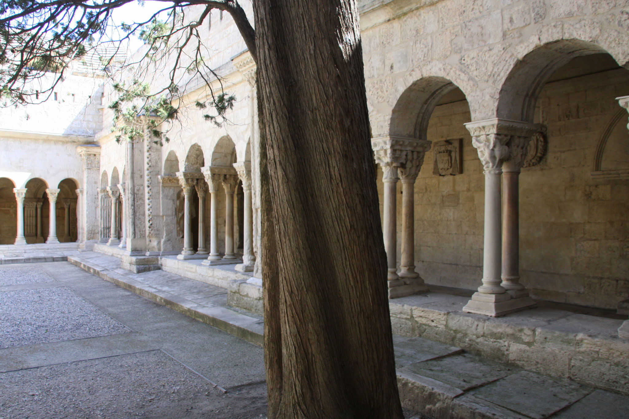 Bild: Kreuzgang von St.-Trophime, Arles, Provence