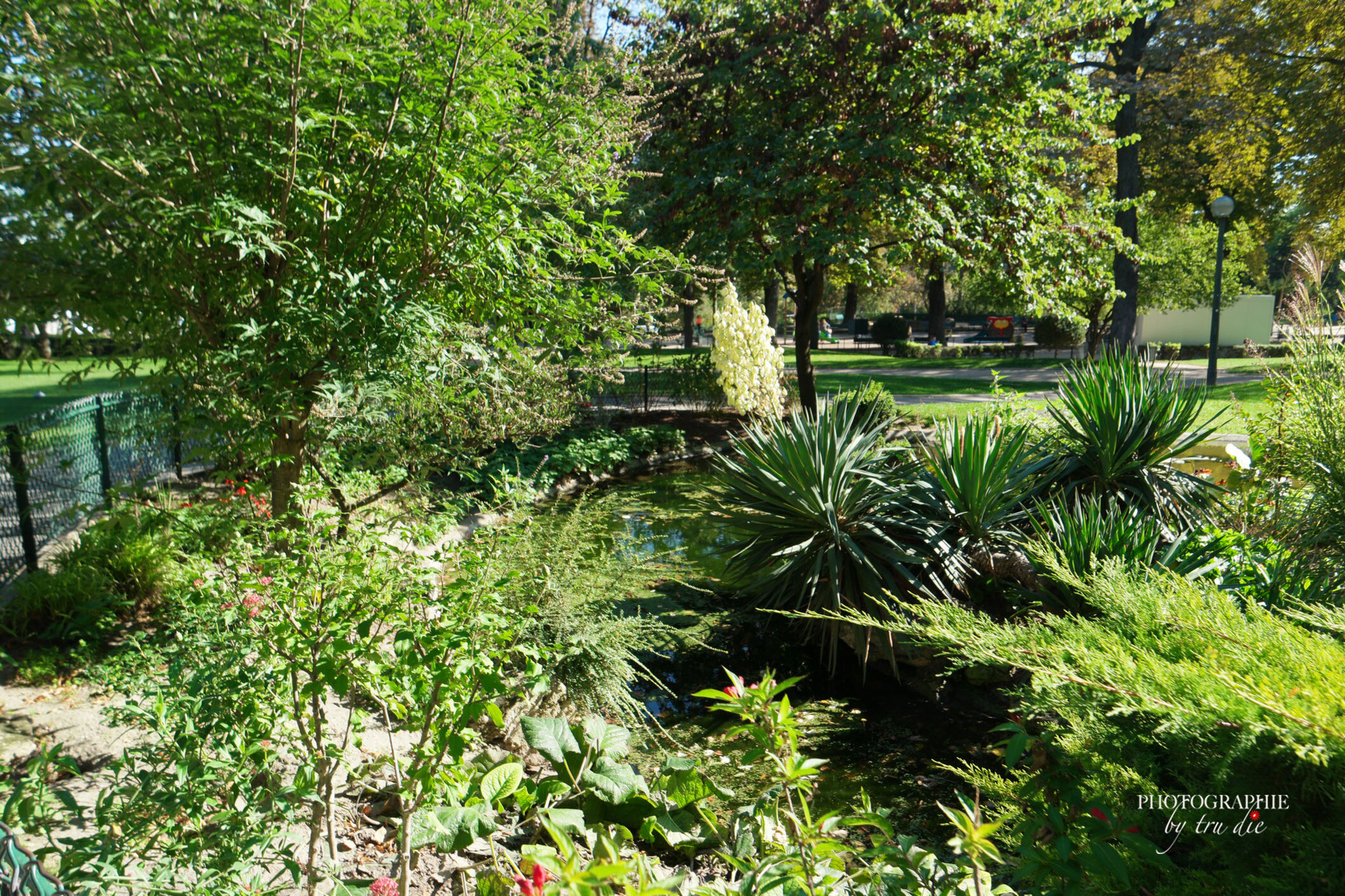 Bild: im Jardin de Trocadéro 