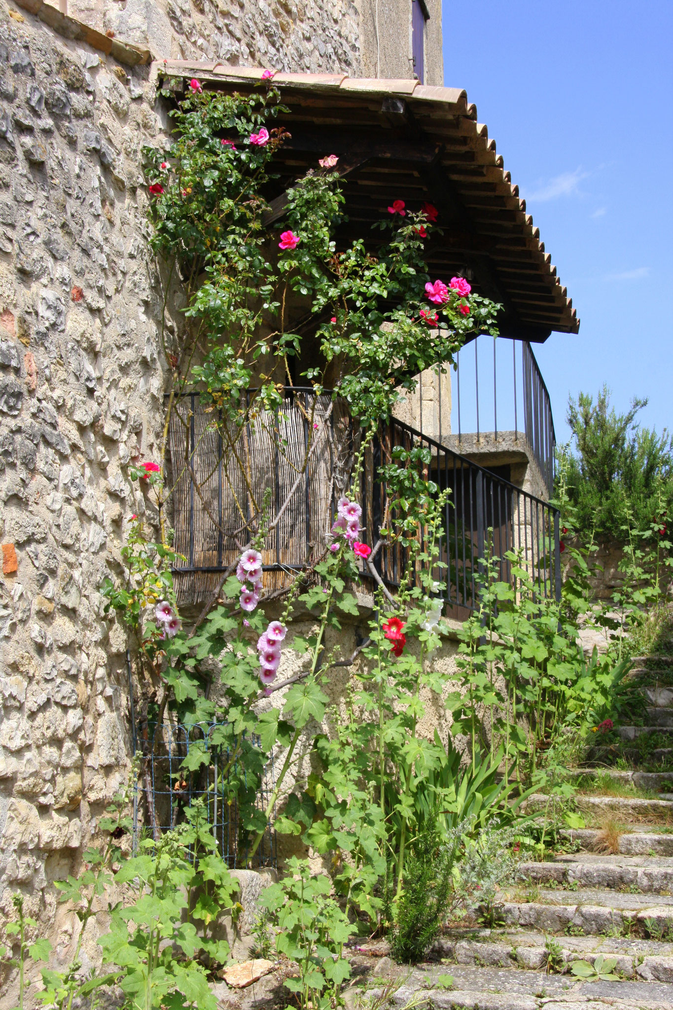 Bild: Aurel am Mont Ventoux