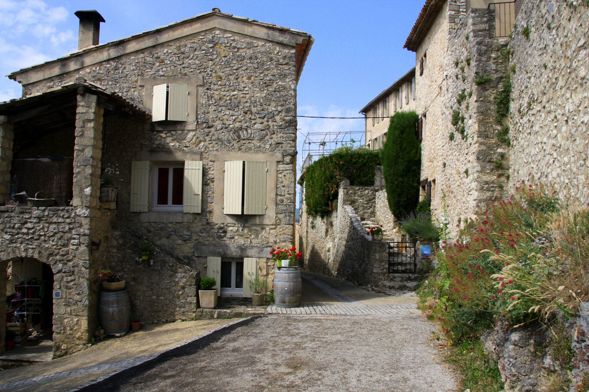 Bild: Aurel am Mont Ventoux