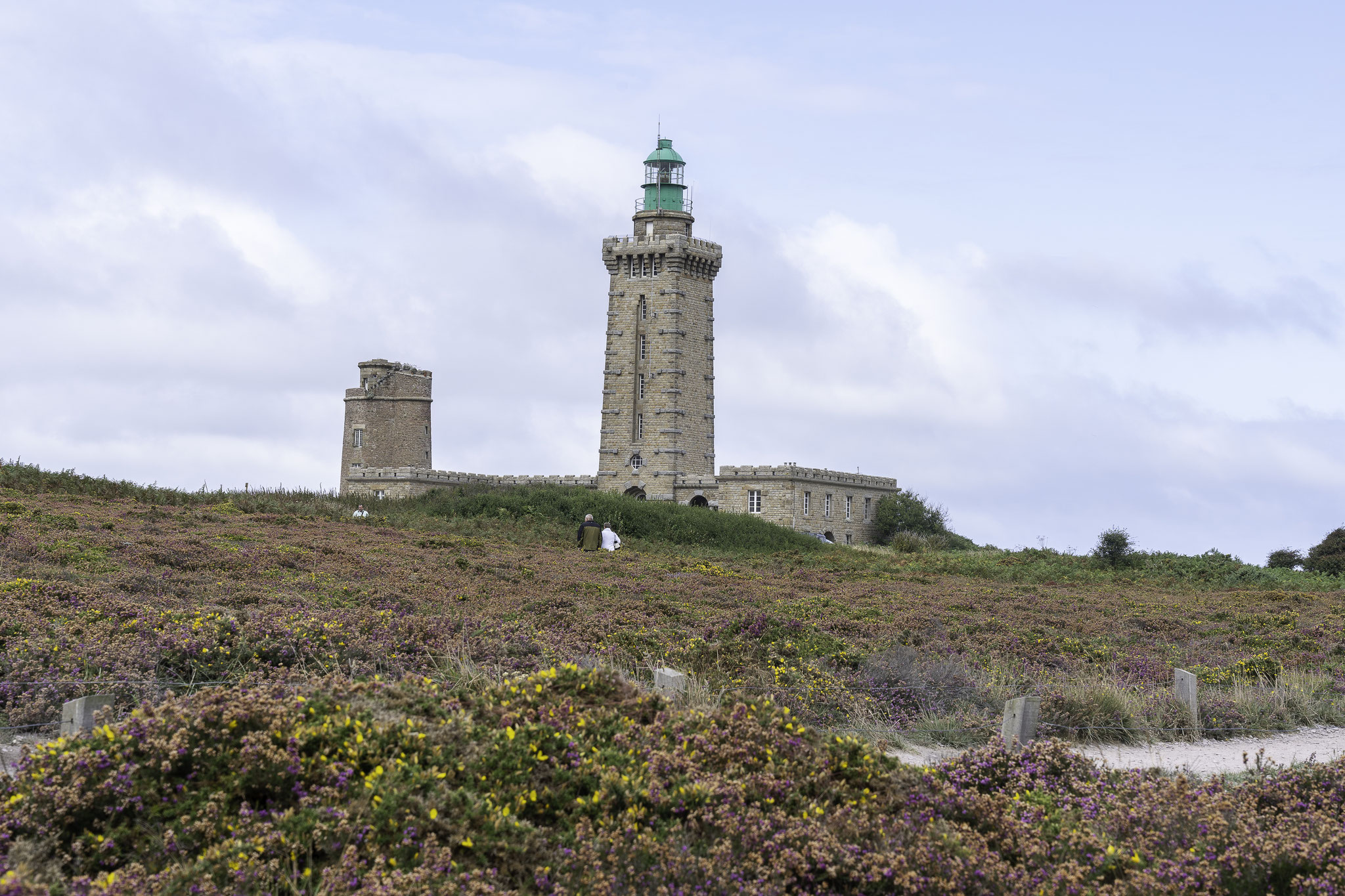 Bild: Blüte am Cap Fréhel - Bretagne 