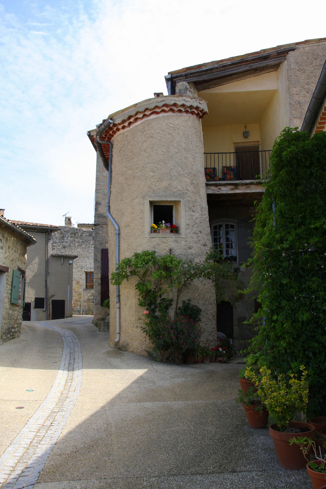 Bild: Aurel am Mont Ventoux