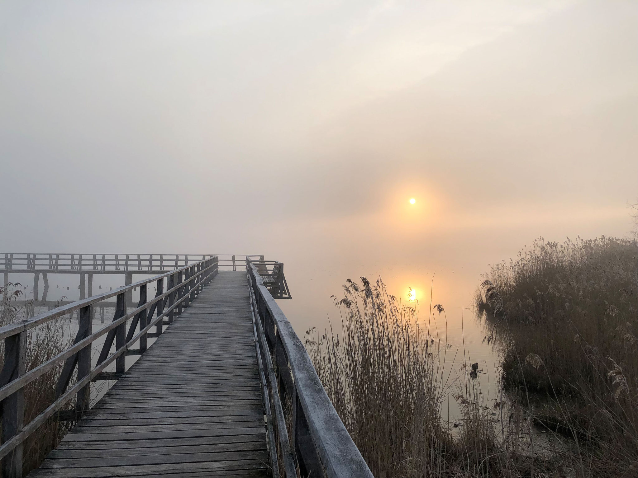 Faszinierende Moorlandschaft (Bild: NABU/Franziska Leimkühler)