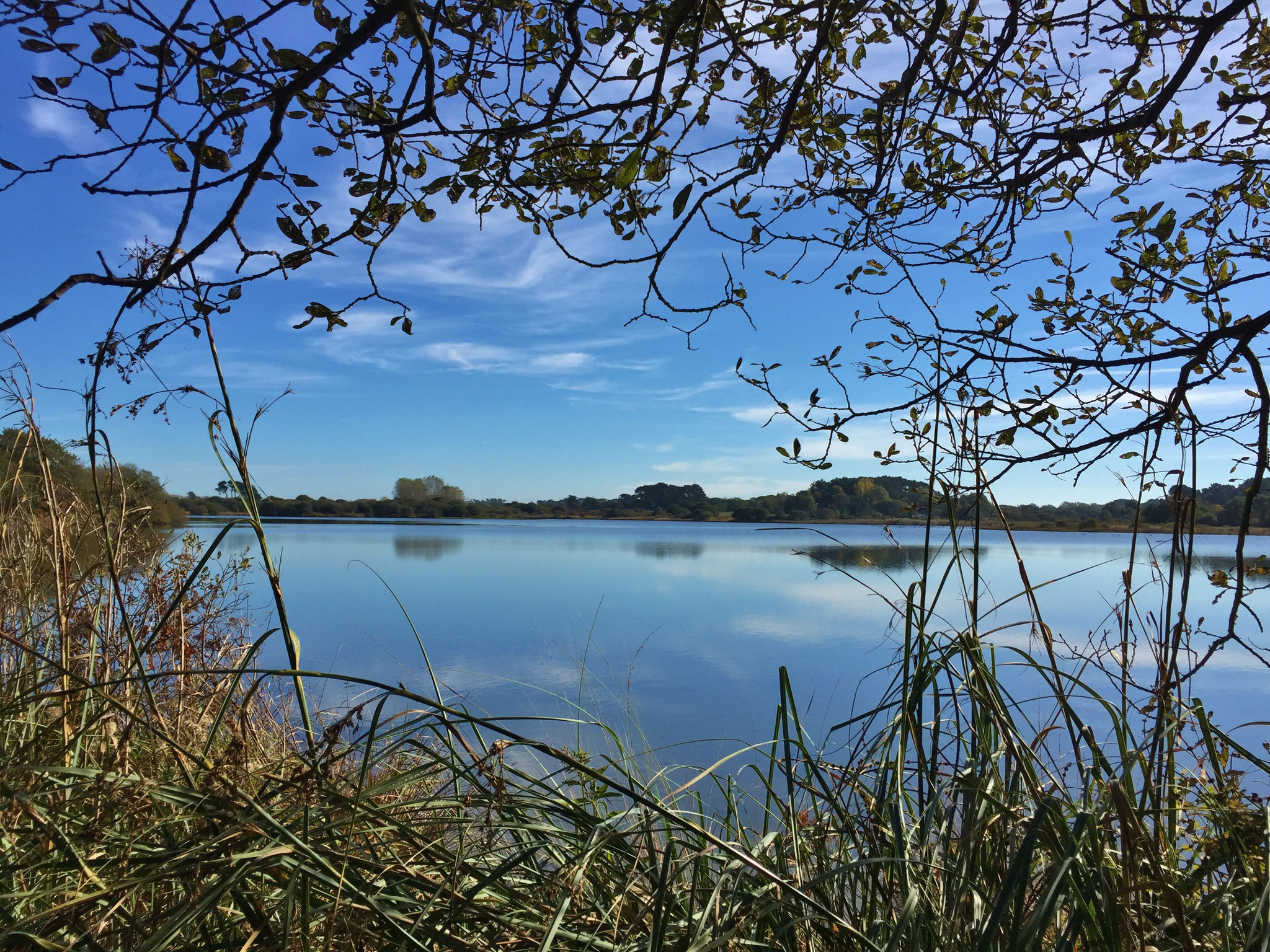 Plouhinec Etang de Poulgouidou, Spaziergang, Erhohlung