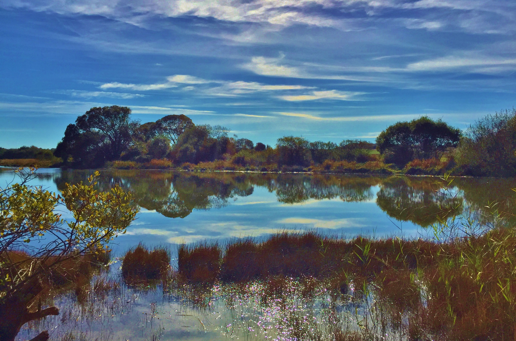 Plouhinec Etang de Poulgouidou, Spaziergang, Erhohlung
