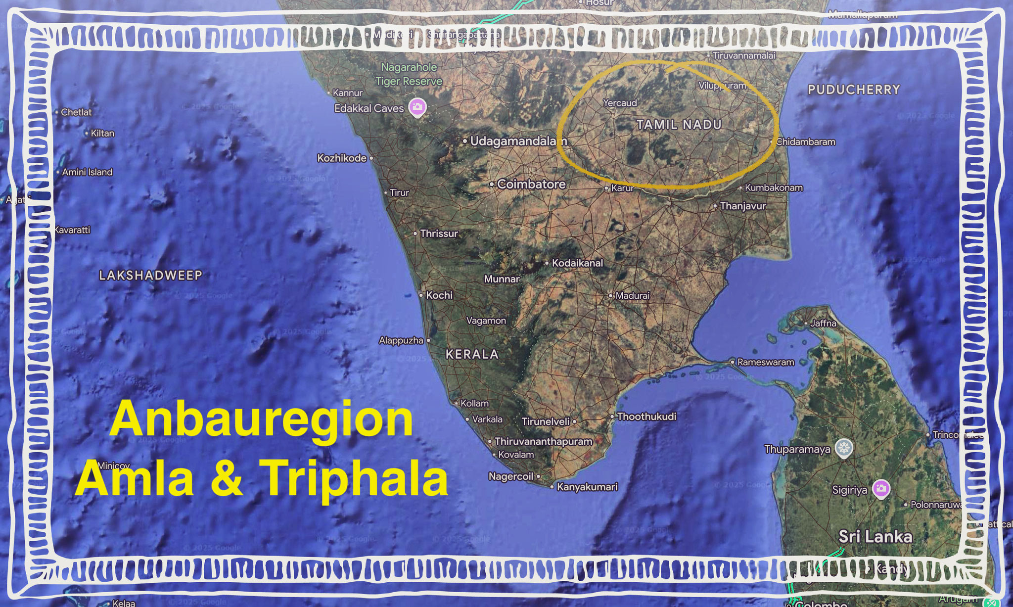 Geerntet wird in der Tami Nadu Region