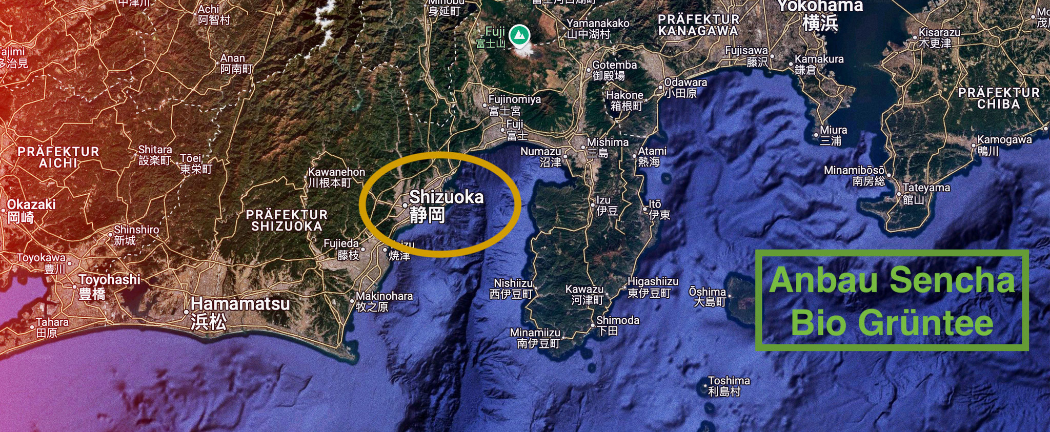 Bio Anbau/Herkunft: Provinz Shizuoka (China)