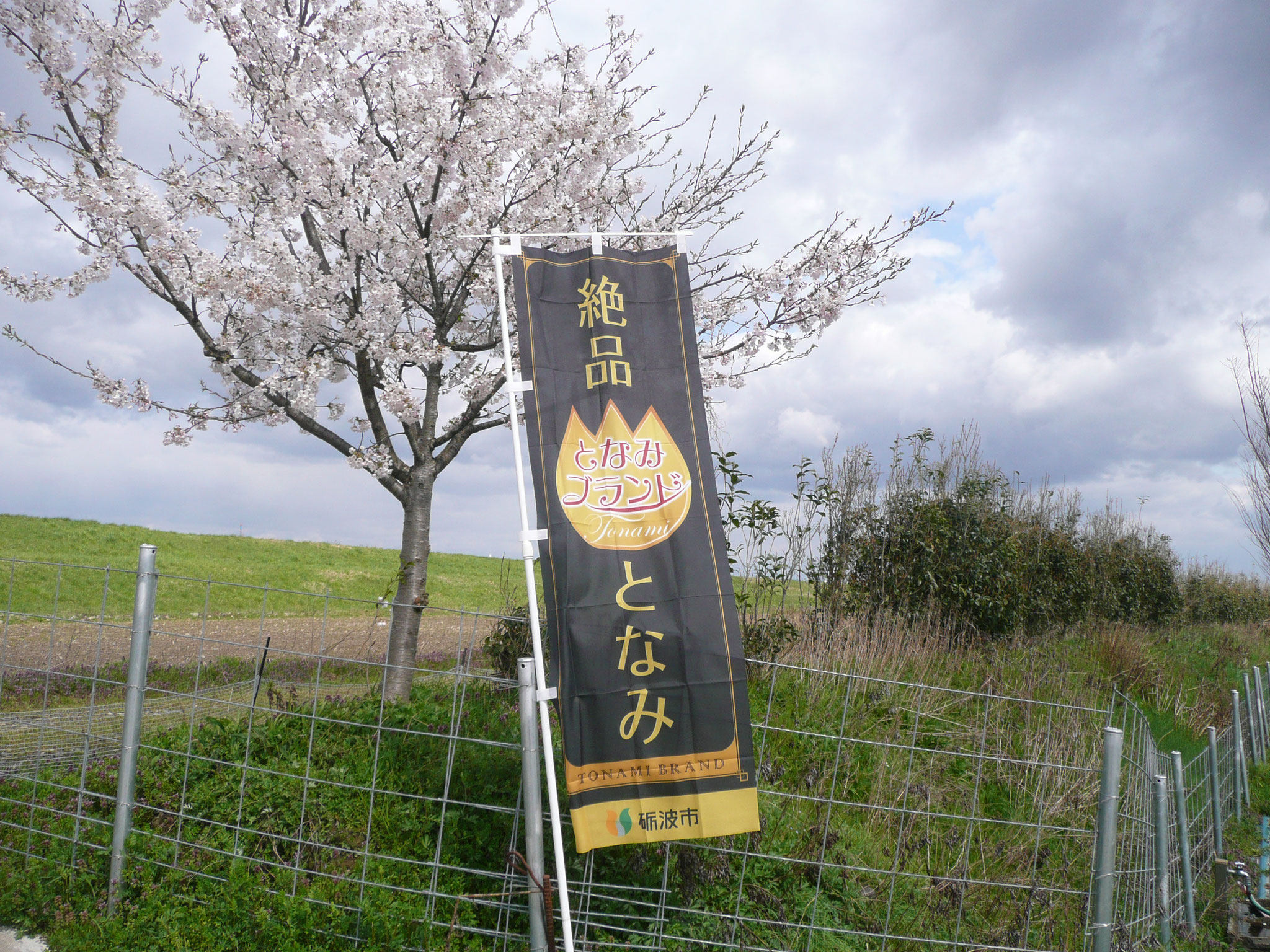 となみブランド桃太郞旗