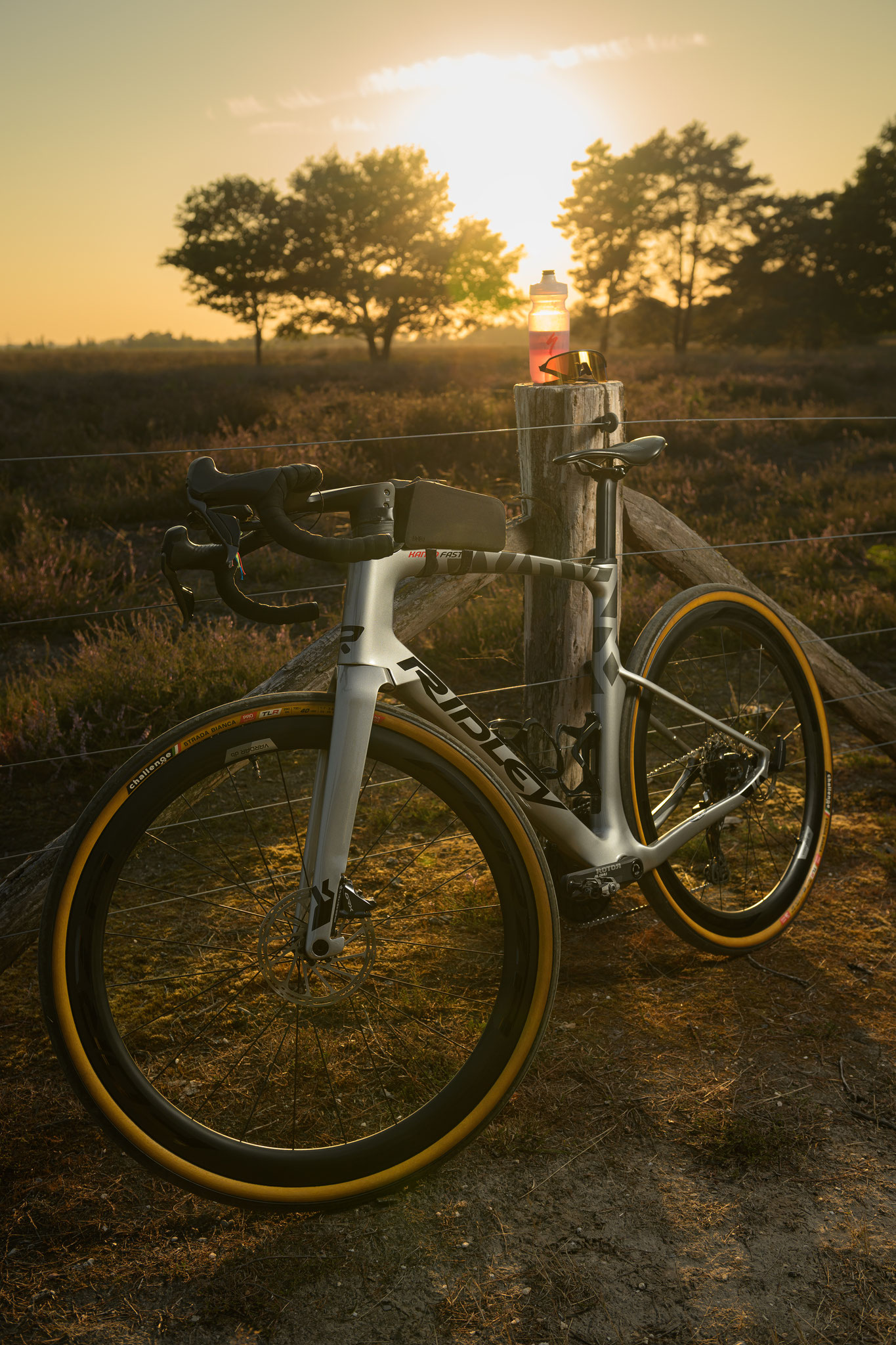 Ridley GRX DI2 Kanzo Fast op Strabrechtse Heide door Jordy Leenders uit Eindhoven met Nikon Z8.