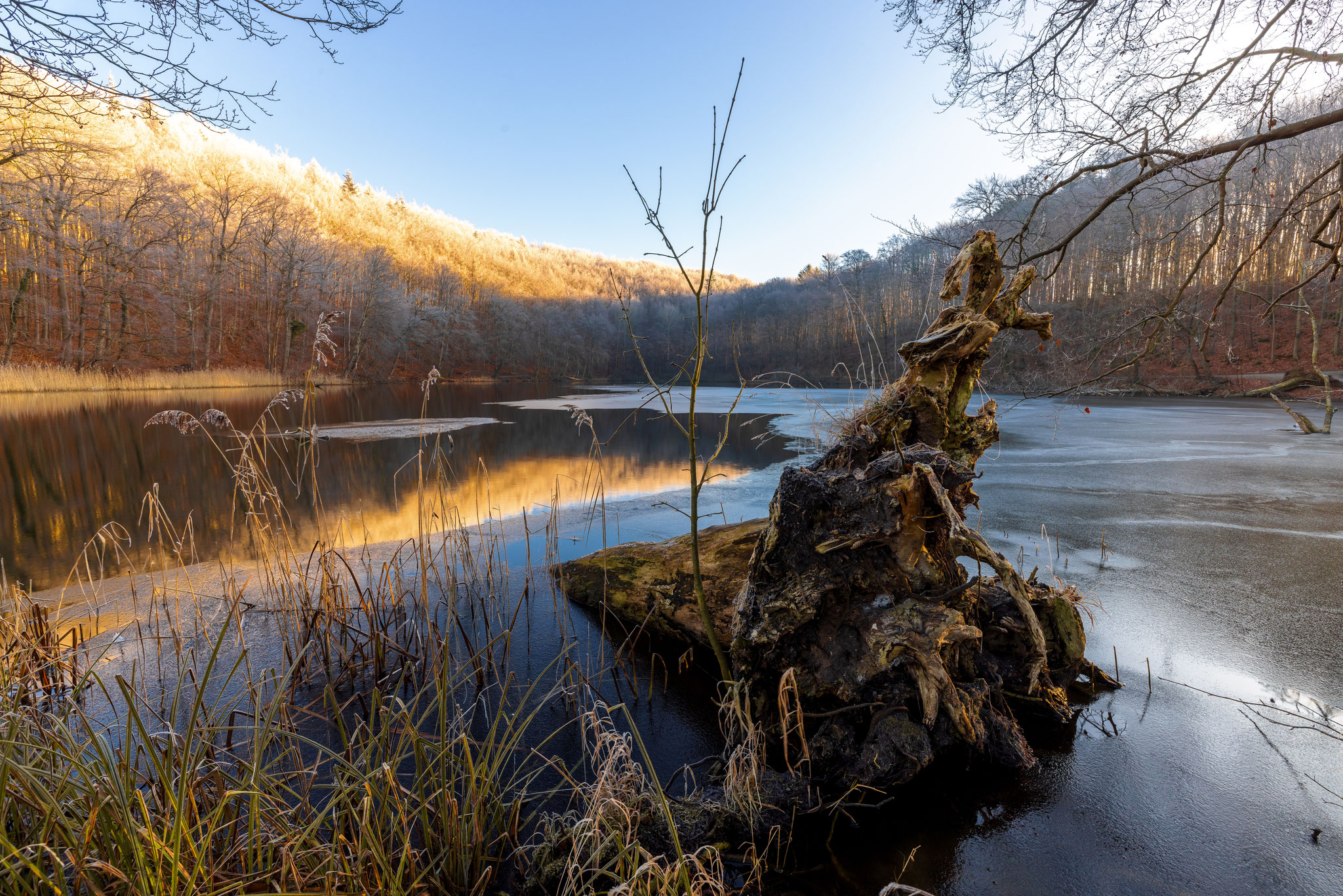 Herrliche Kontraste zwischen angeleuchten Bäumen und gefrorenem Wasser