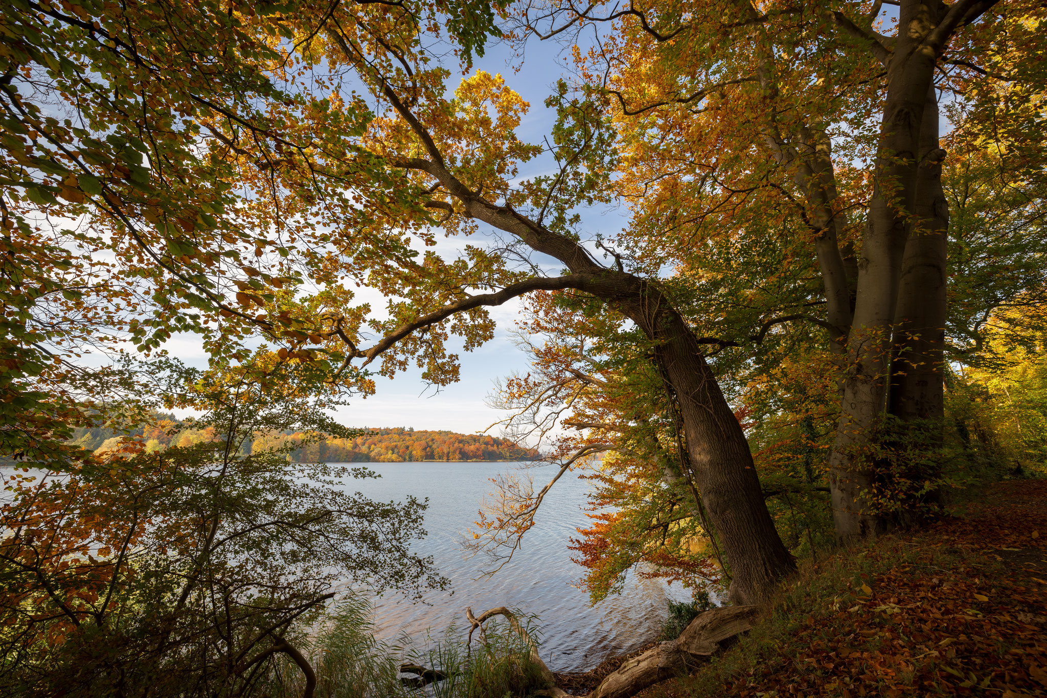 Goldener Herbst