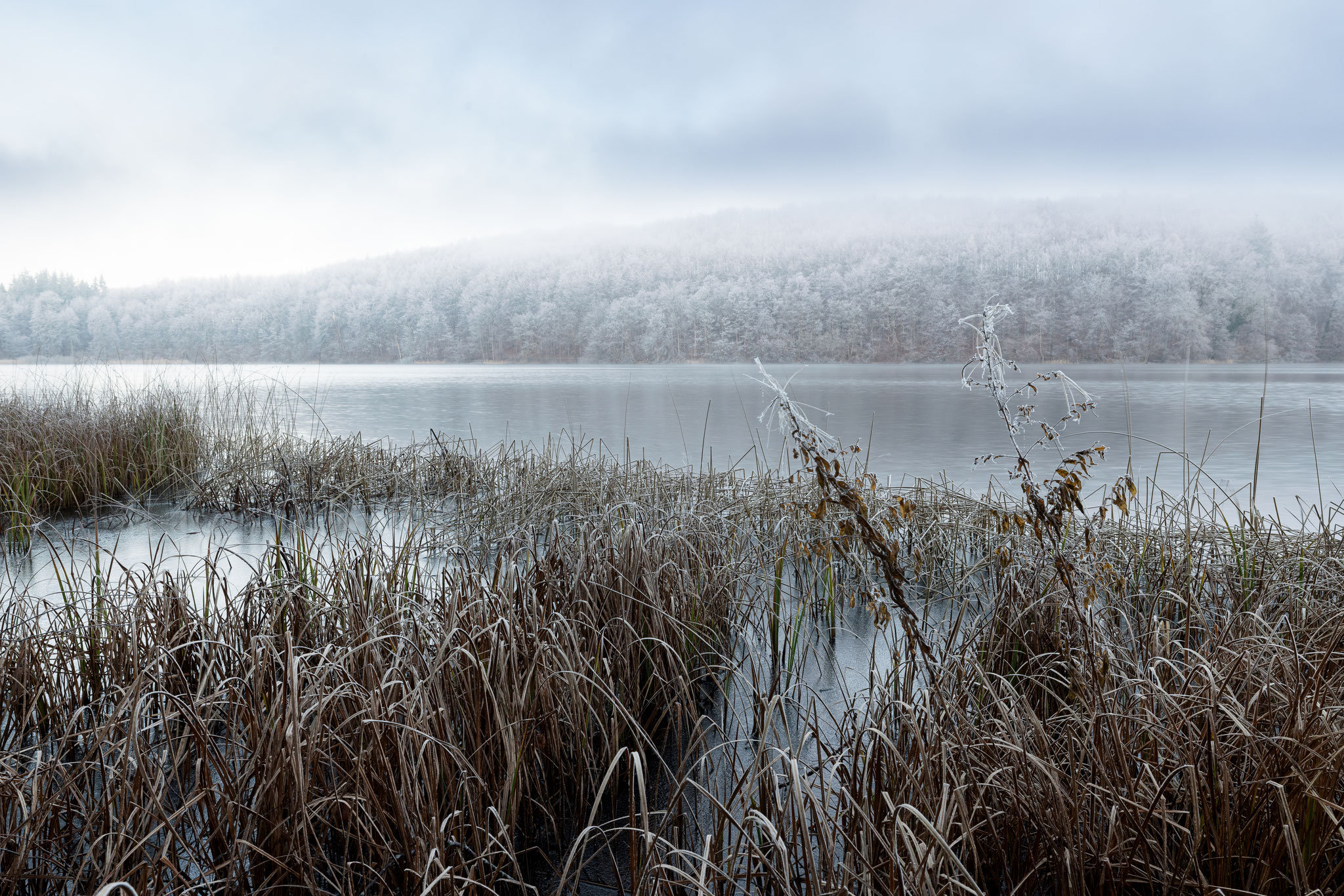Dumpf und starr liegt der See