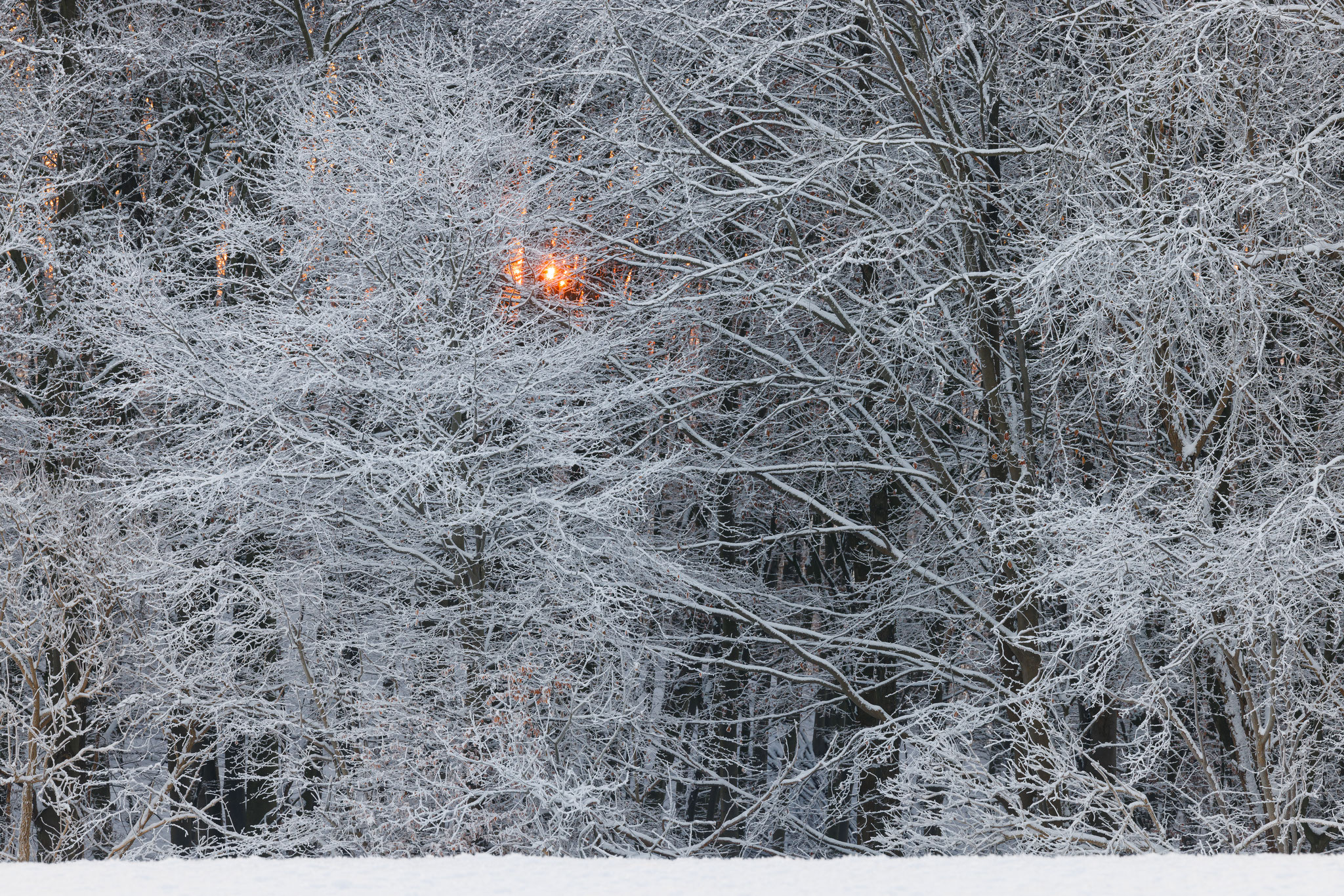 Die Sonne glüht sich durch den Frost hindurch