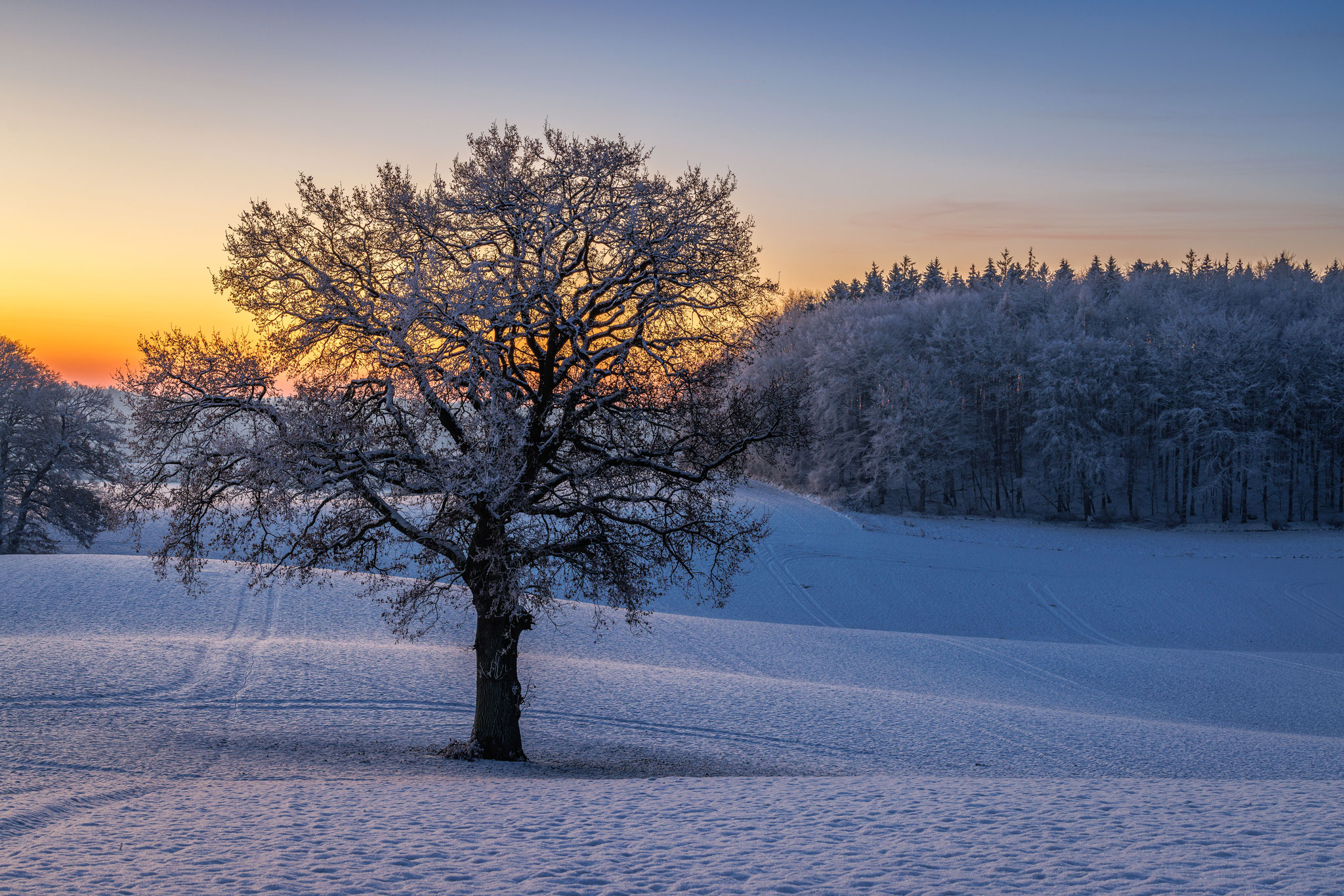 Arktischer Sonnenaufgang in Ostholstein 