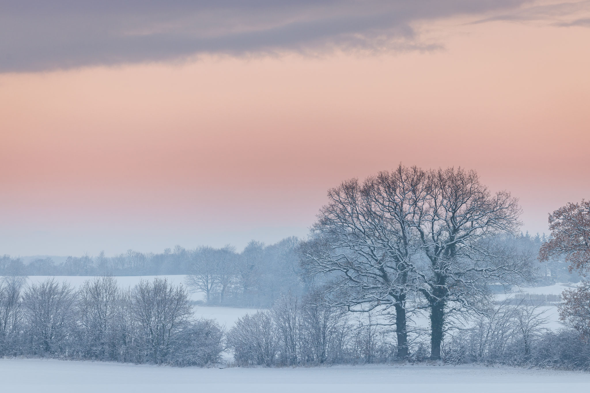 Am Ende eines trüben Wintertages